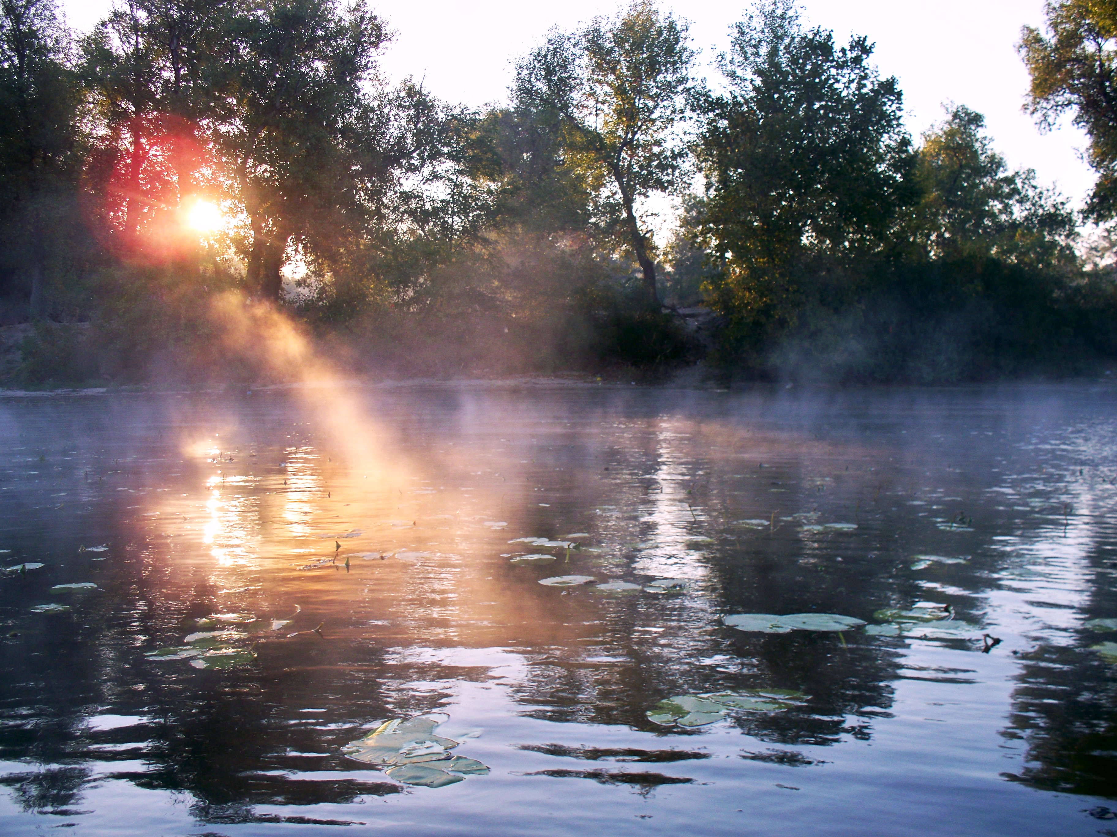 Свет отраженный от воды. Блики солнца на реке. Озеро солнце. Блики на воде от солнца. Отражение солнца в воде.