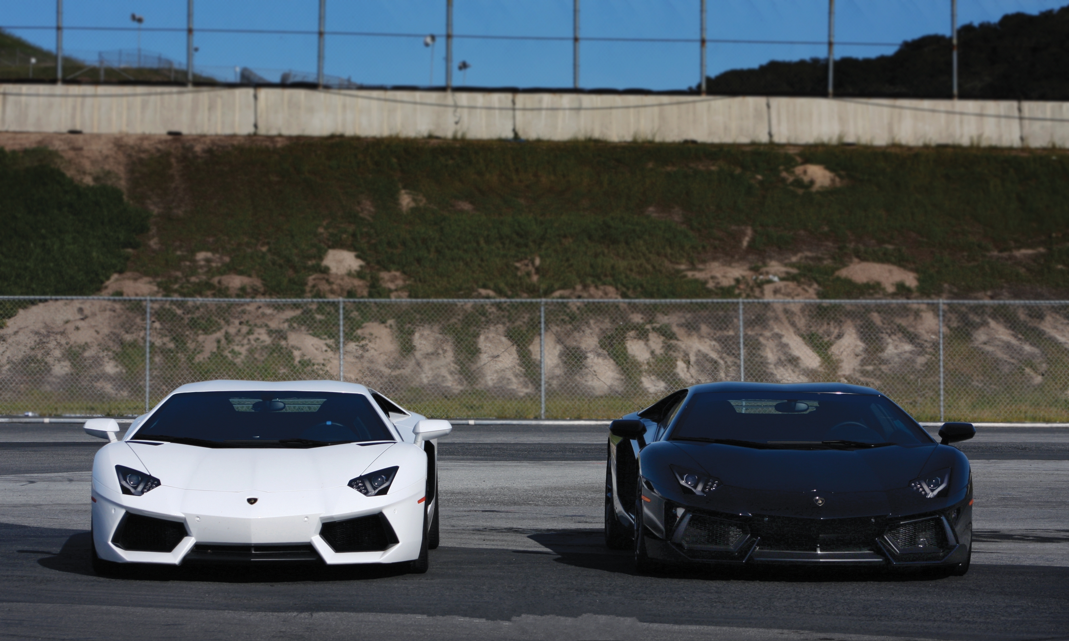 Luxury sport. Lamborghini Aventador lp700-4 белая. Lamborghini Aventador lp700 чёрный. Ламборджини Галлардо 2020. Ламборджини авентадор ЛП 700-4.
