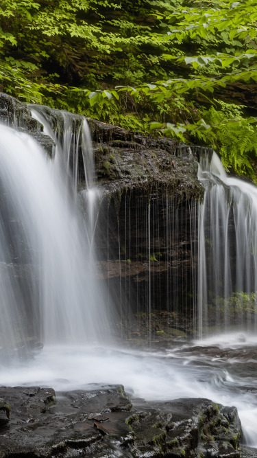 лес, водопад, Пенсильвания, каскад, Pennsylvania, Ricketts Glen State Park, Парк штата Рикетс Глен, Mohawk Falls
