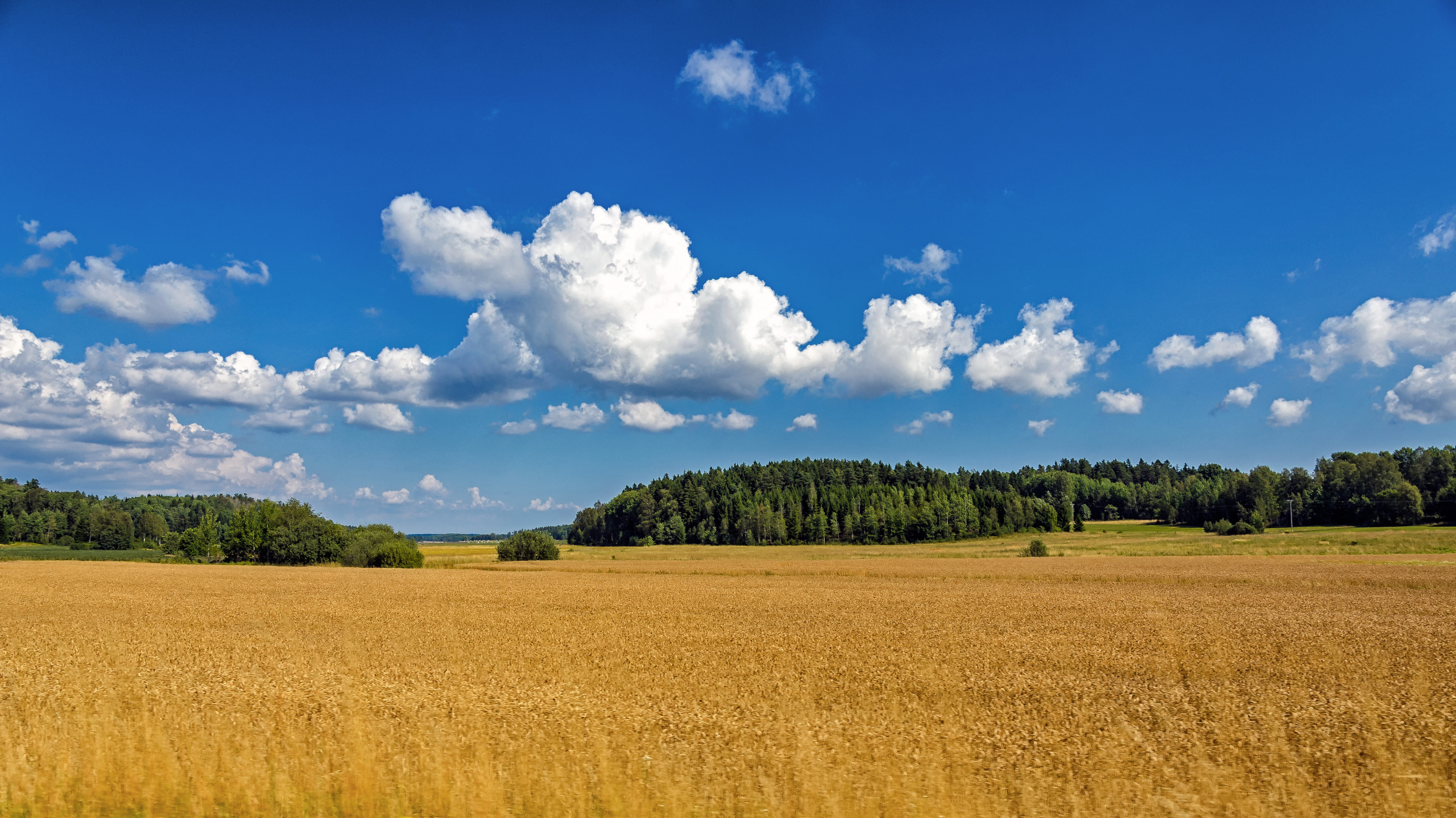 Беларусь Поле Фото