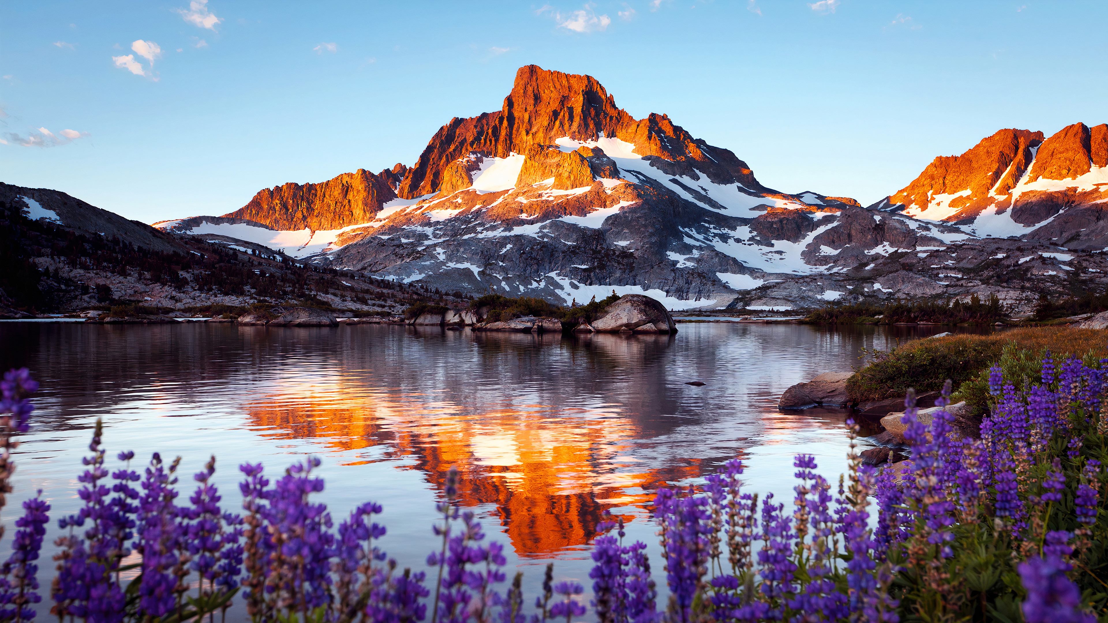 Красивые изображения. Аляска горы цветы. Яркая природа. Красота природы. Красивый пейзаж.