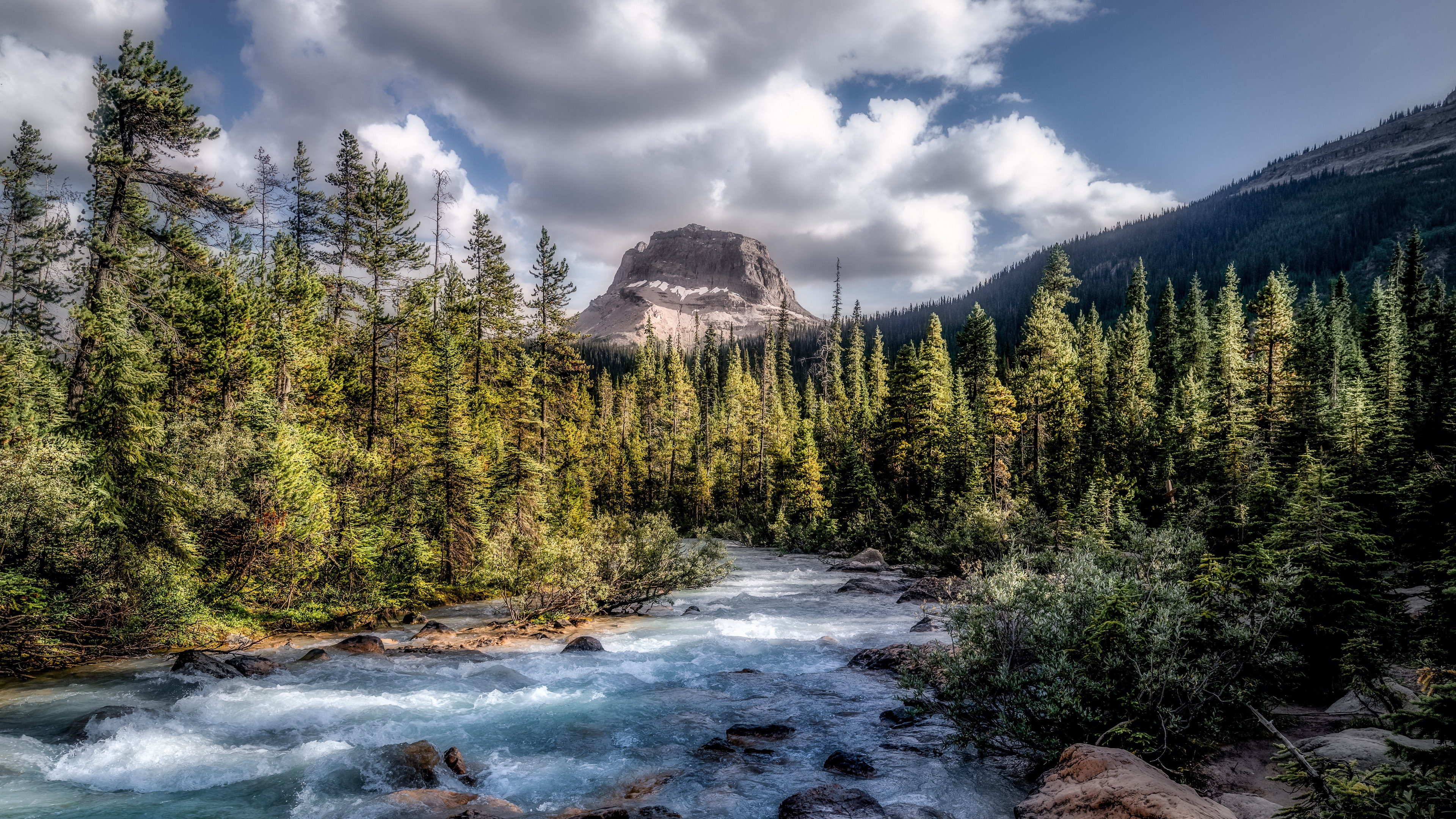 Canada forests. Национальный парк Йохо Канада. Британская Колумбия Канада горы. Британская Колумбия лес. Ассинибойн, Британская Колумбия, Канада.