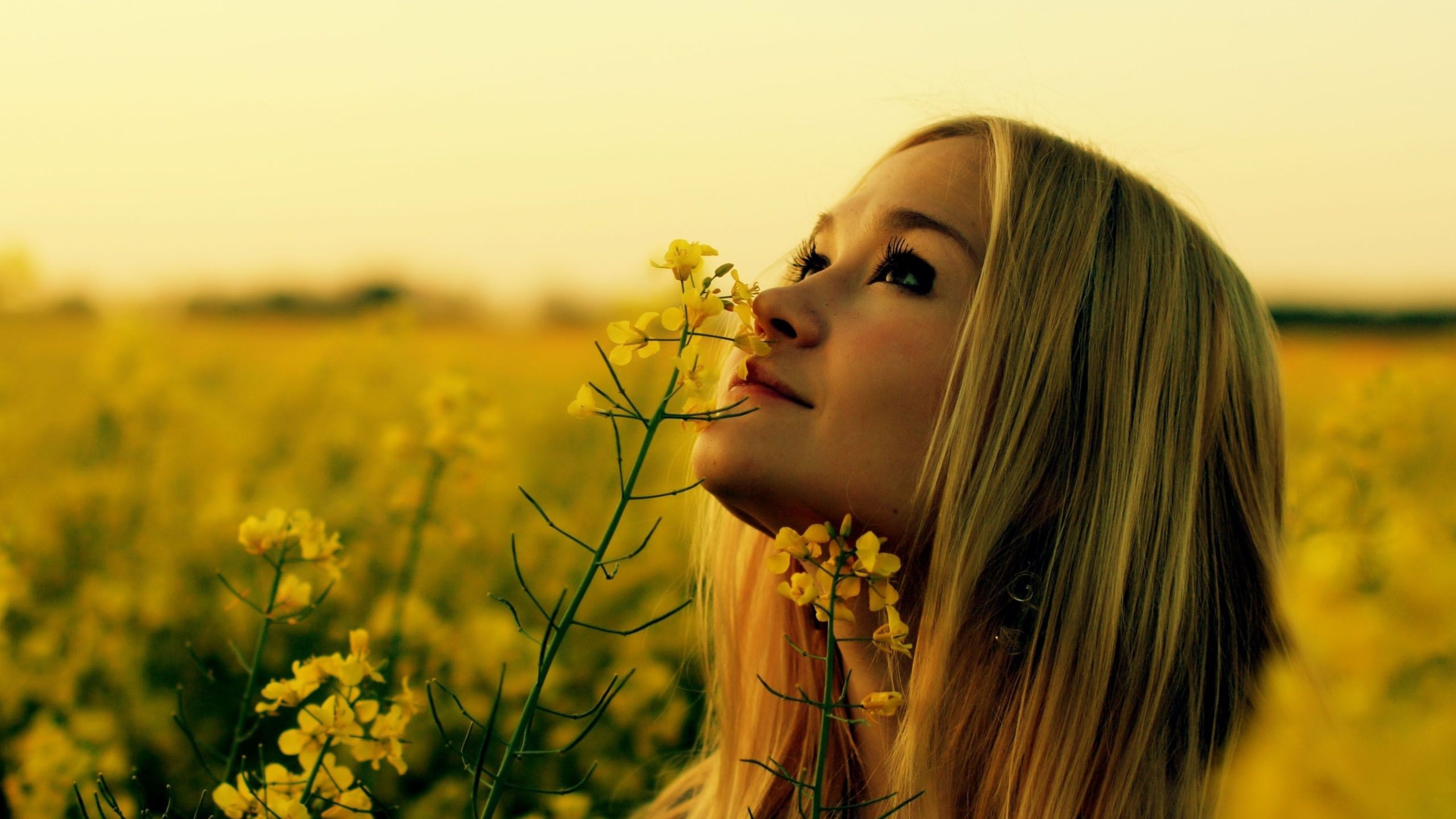 Просто красивые фотки. Девушка лето. Девушка в поле. Девушка в цветочном поле. Девушка на природе.