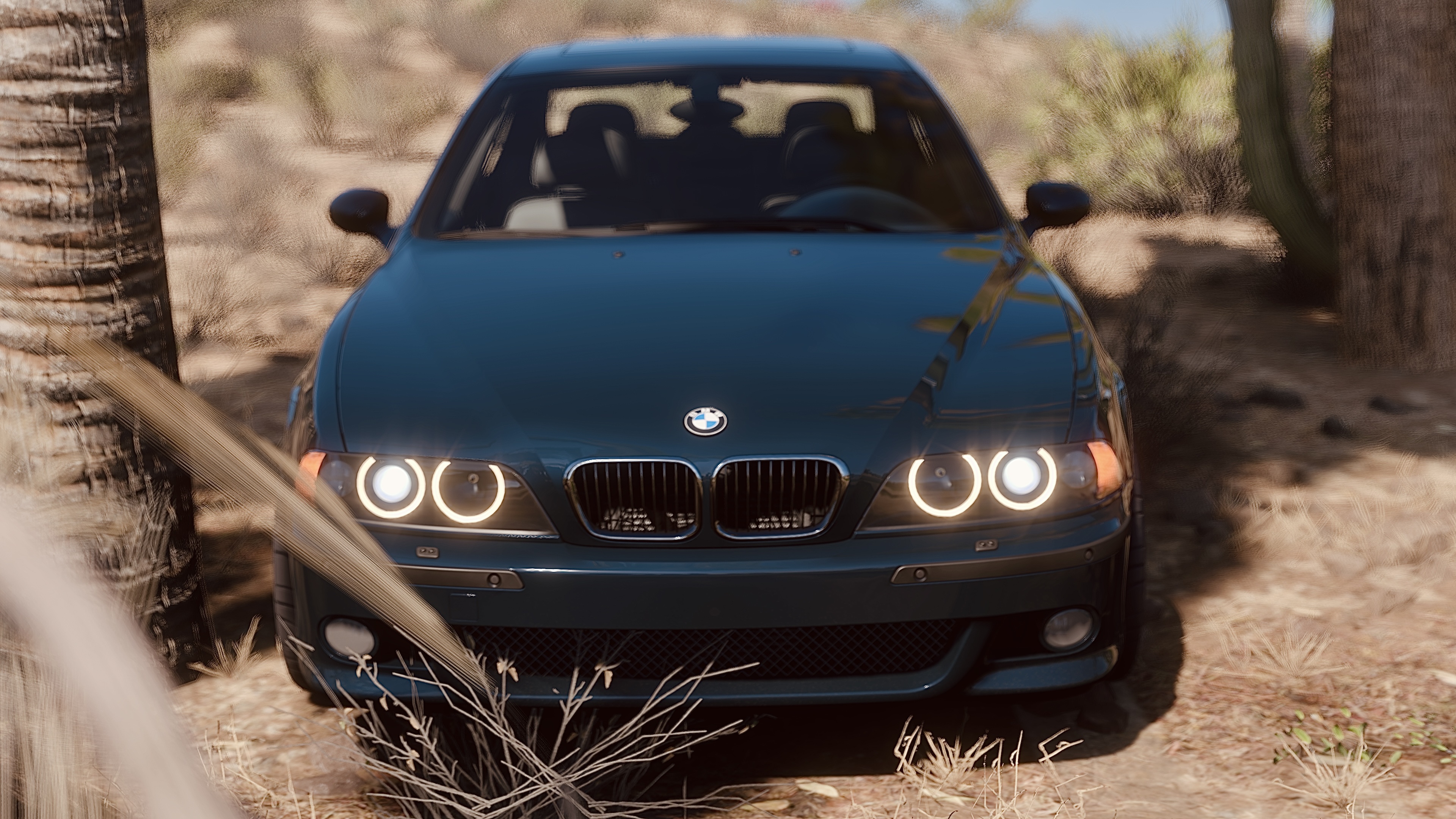 Обои HDR, BMW, Lights, Game, e39, Trees, Desert, Plants на телефон и  рабочий стол, раздел игры, разрешение 3840x2160 - скачать