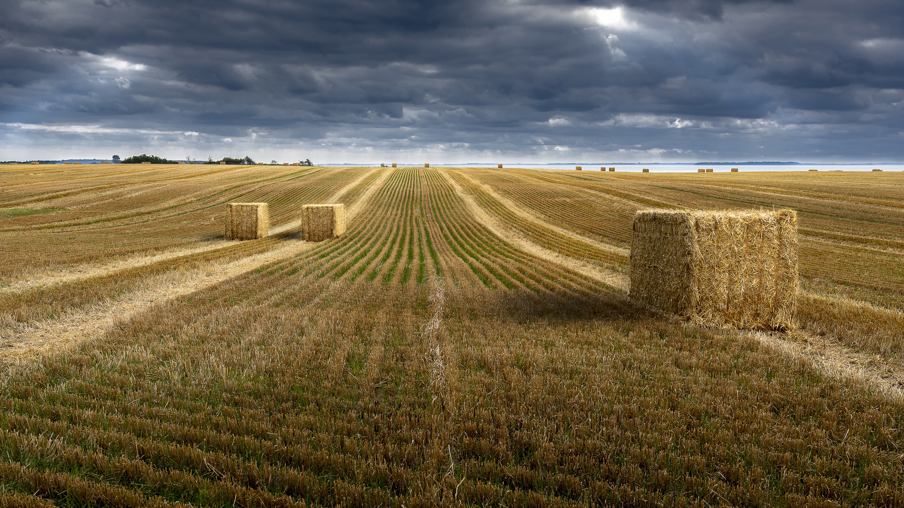 Пшеничные штаты. Пшеничный штат Канзас уборка пшеницы. Поля. Поле сено. В поле.