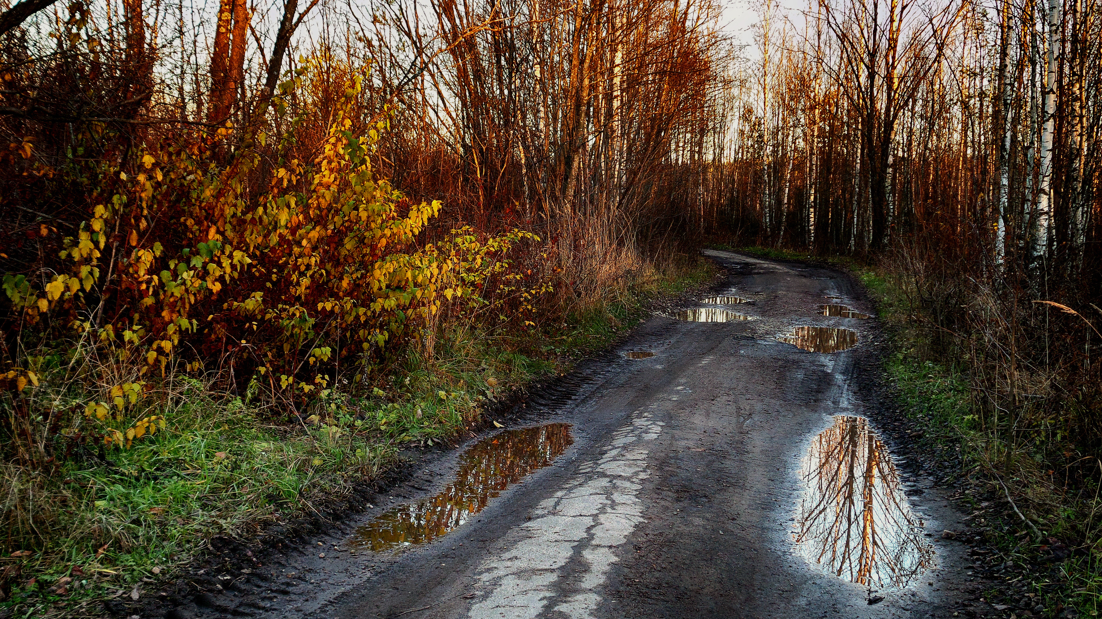 Осенняя Проселочная дорога. Сельская дорога. Поздняя осень в деревне. Осенняя Сельская дорога.