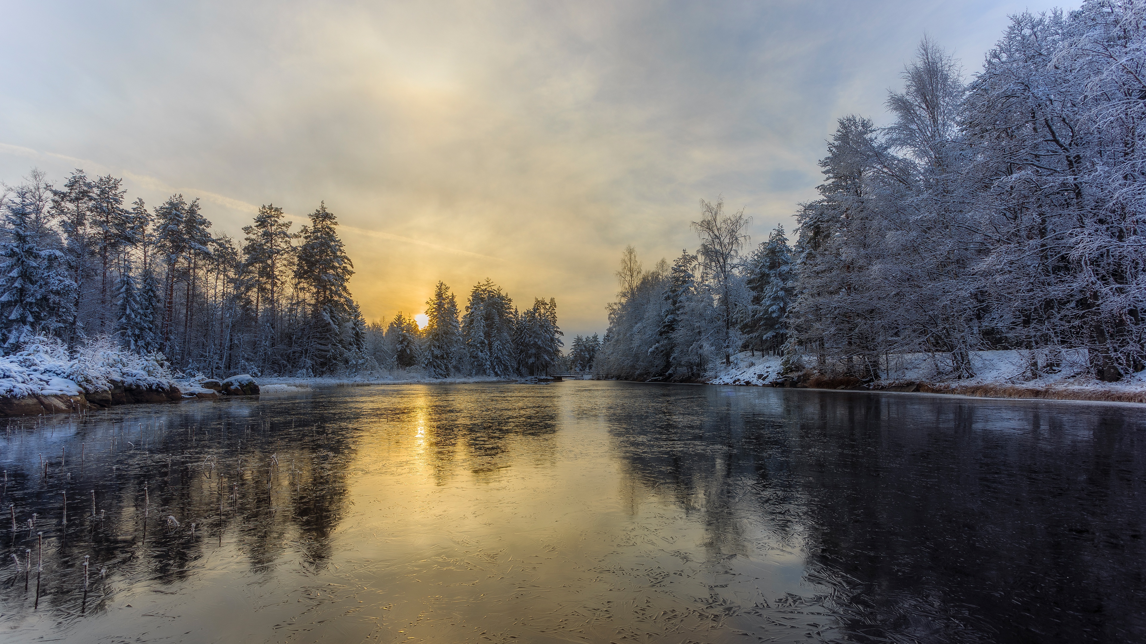 Зимний водоем. Река зимой. Зимний лес с рекой. Зимний лес с водоёмом. Зима лес пруд.