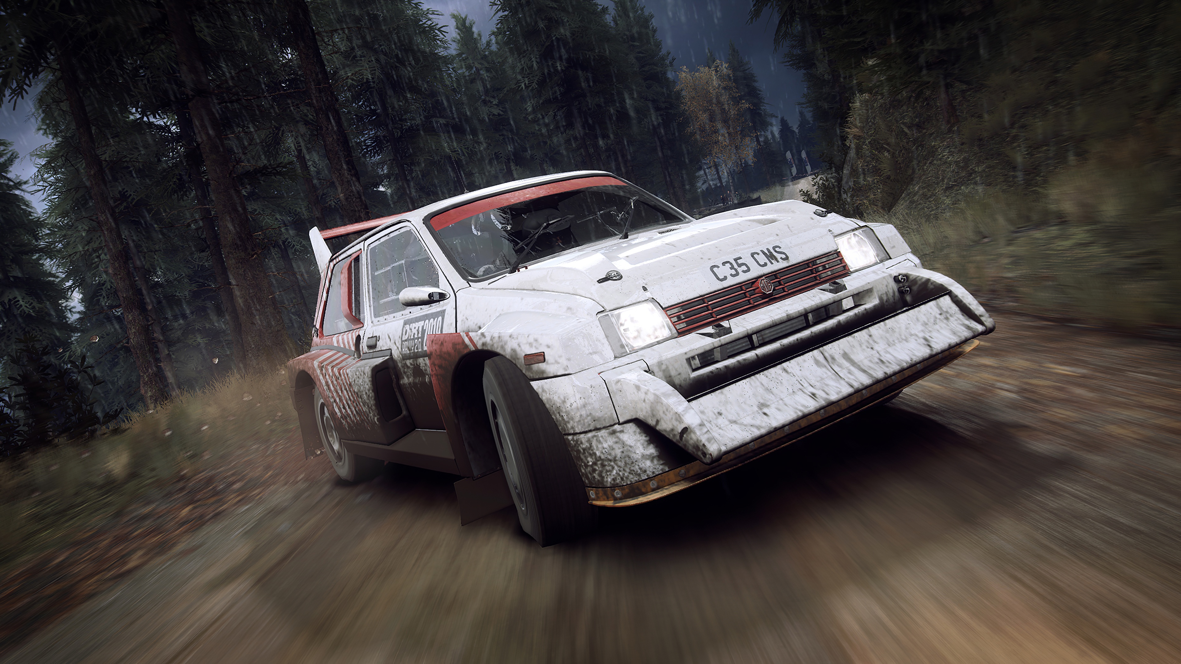 Dirt Rally 4k