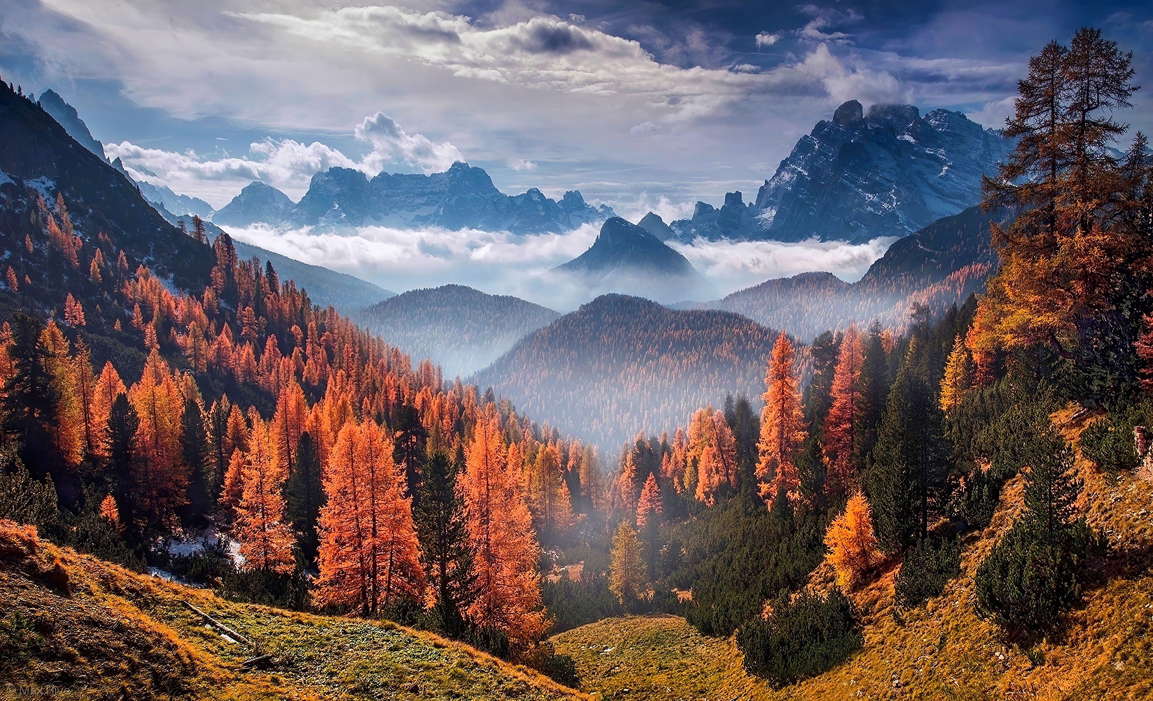 Лес горы слились все. Стоун-Маунтин Аппалачи. Осень в горах. Горный пейзаж. Лес горы.