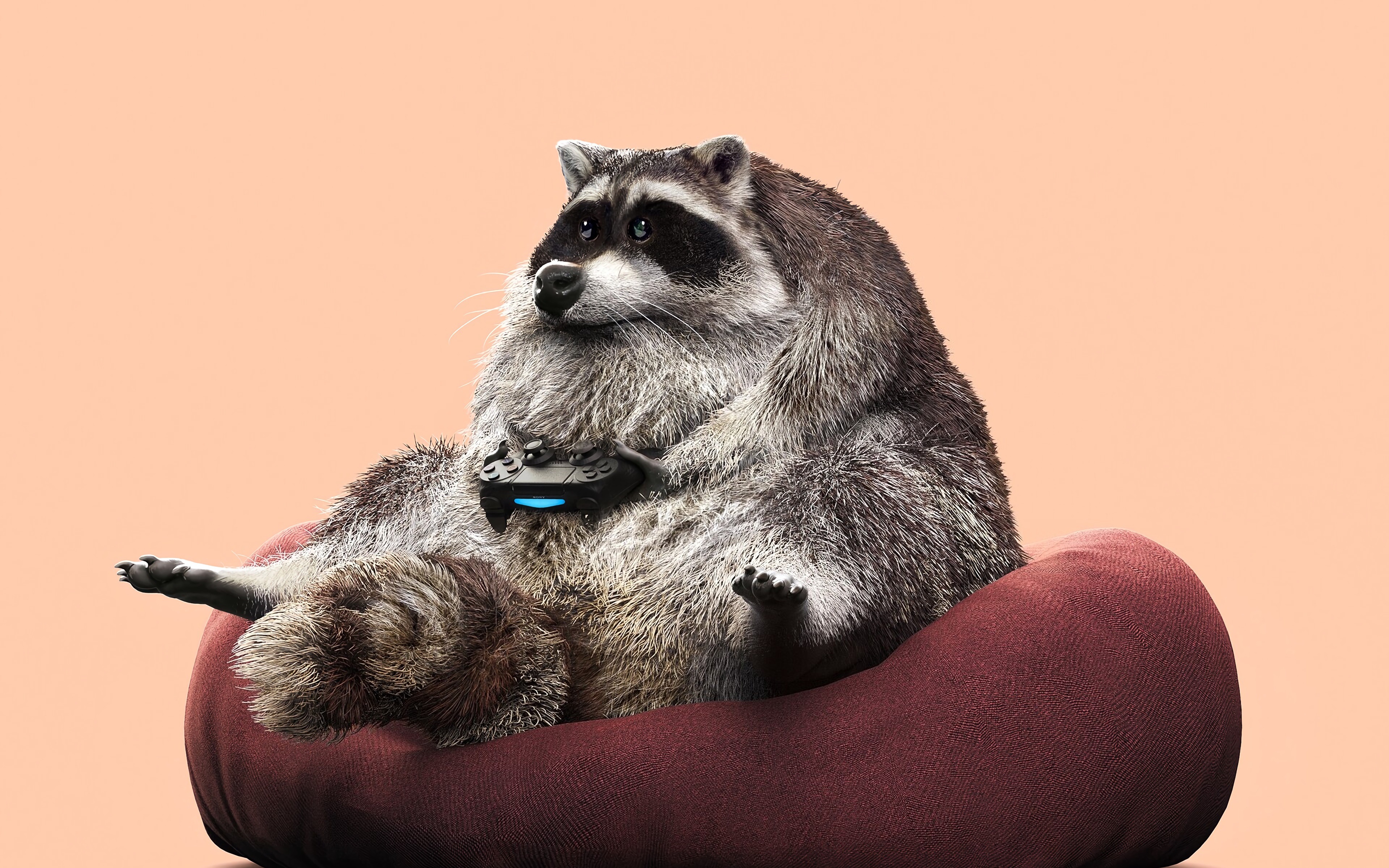 Racoon21