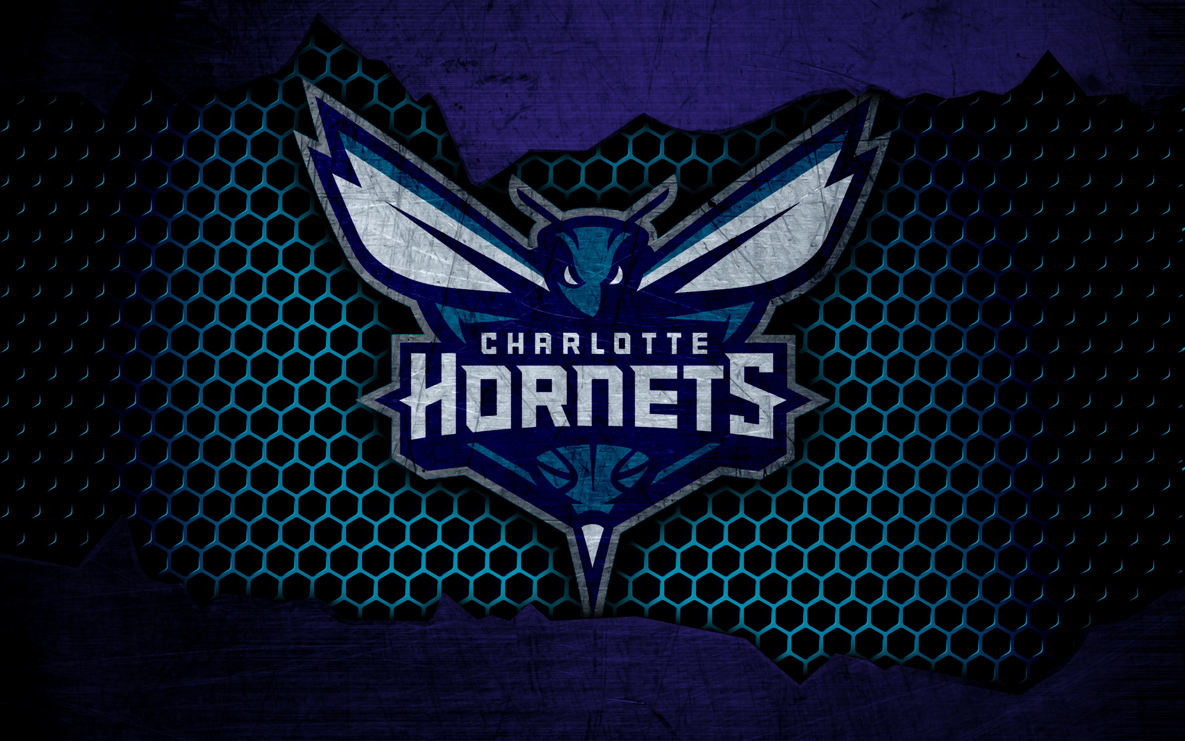 Hornet nba. Sharlot Xornet. Charlotte Hornets лого. НБА – Шарлотт Хорнетс. Шарлотт Хорнетс логотип старый.