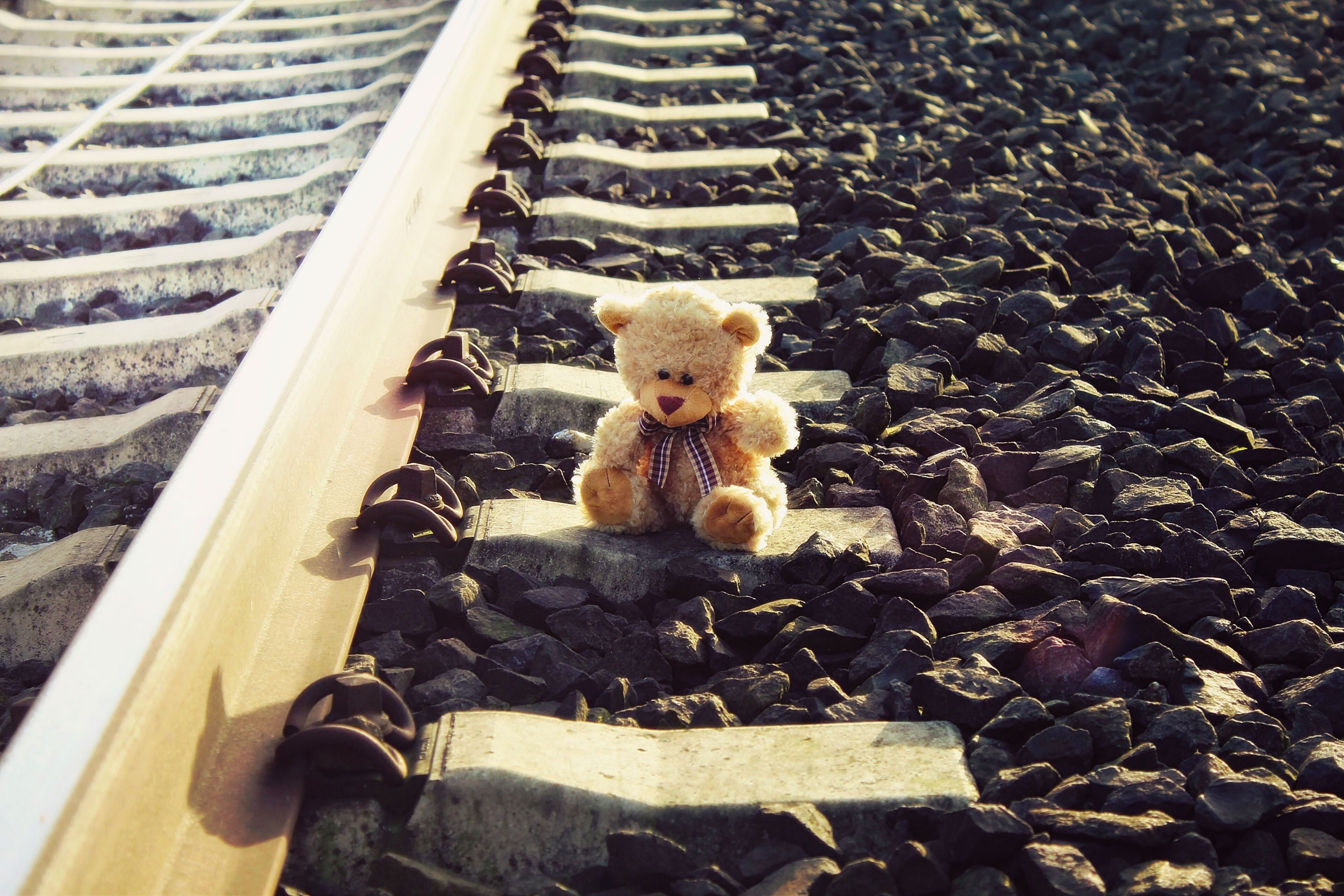 Поезд грусти и печали. Плюшевый мишка на рельсах. Грустные мягкие игрушки. Брошенная игрушка. Железная дорога грусть.