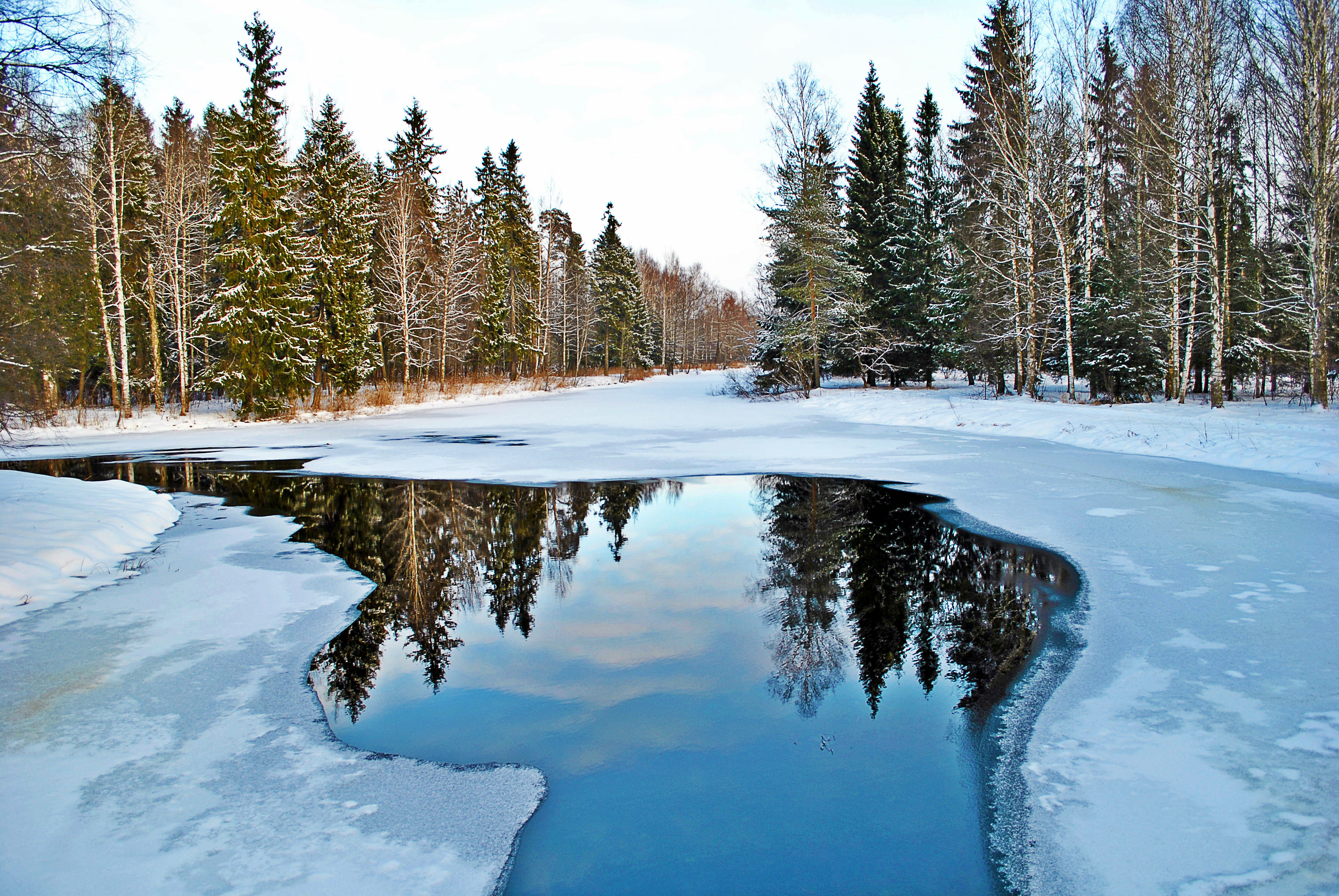 Самые нужные зимой. Зимний лес с рекой. Зимняя река. Зима лес озеро. Речка зимой.