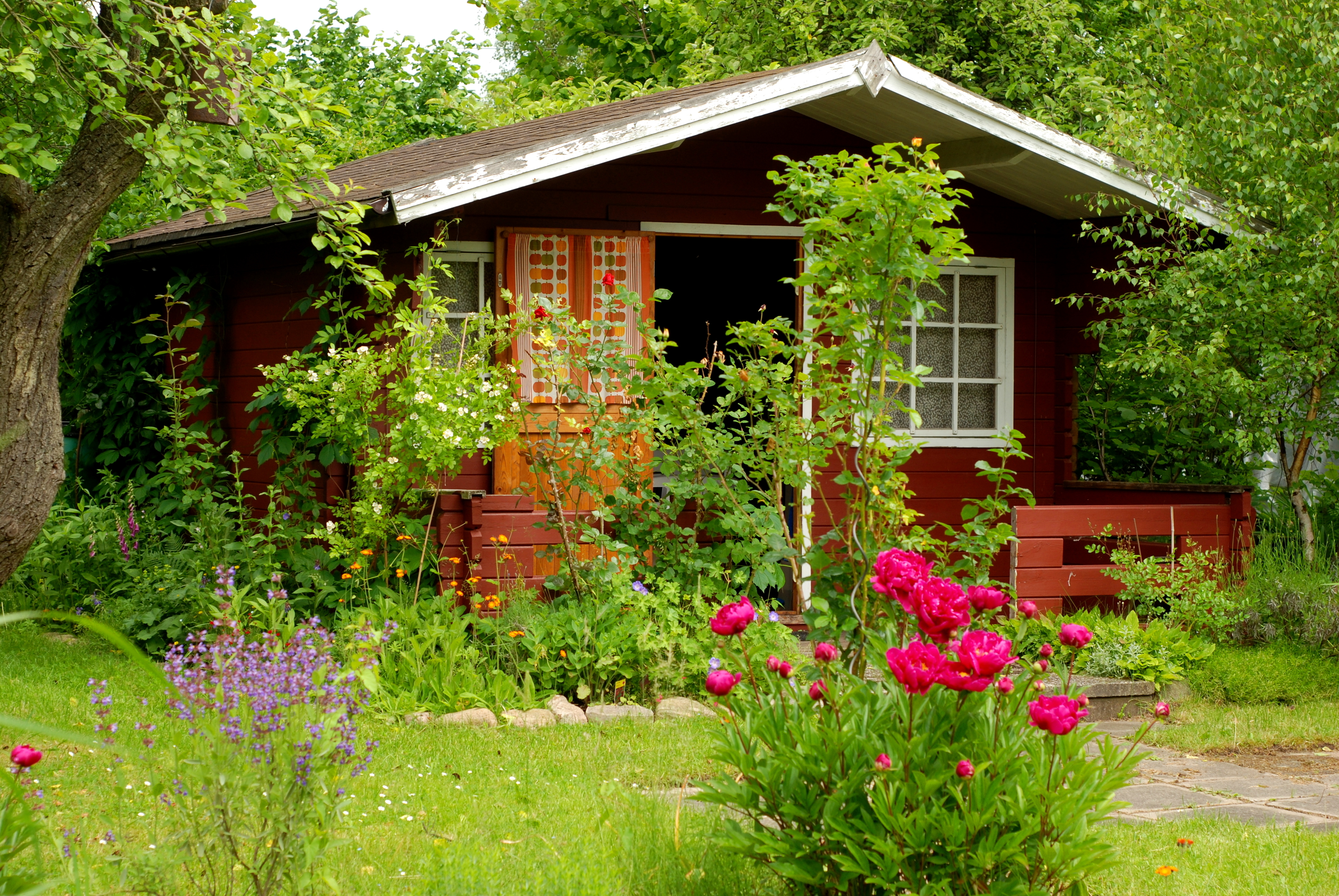 Лето дома ком. Красивая дача. Дачный домик в саду. Летняя дача. Маленький домик в саду.