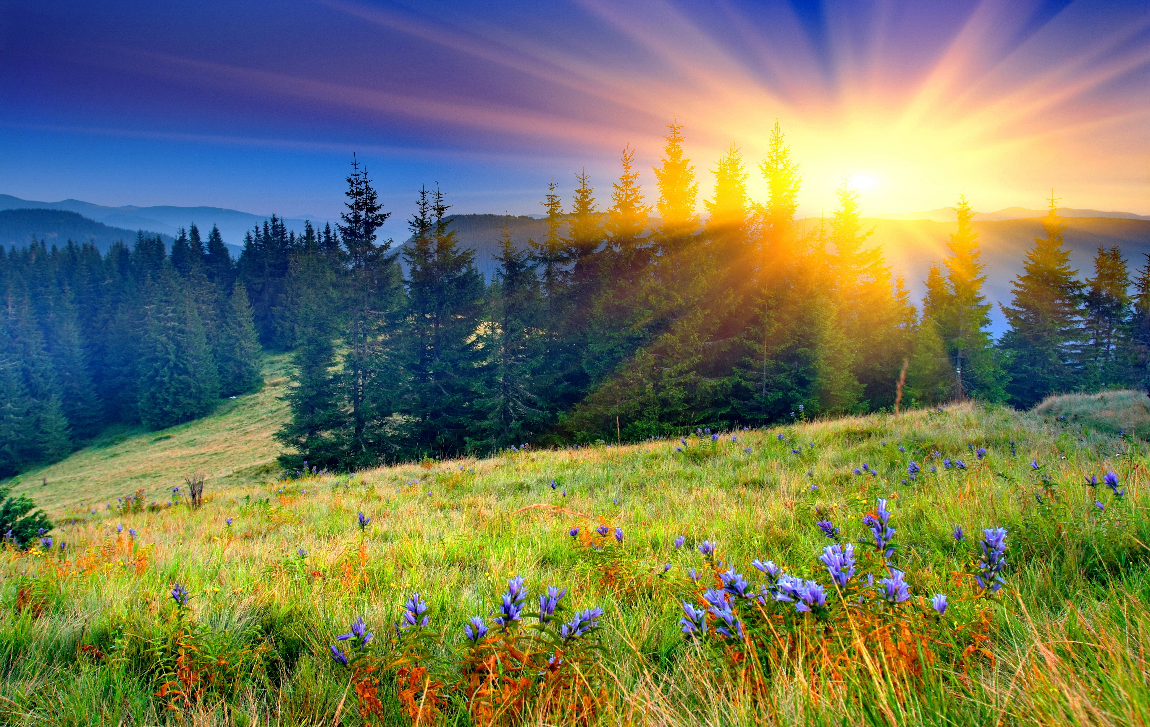 Спокойной утро природа. Природа солнце. Рассвет солнца. Восхитительный пейзаж. Летний рассвет на природе.