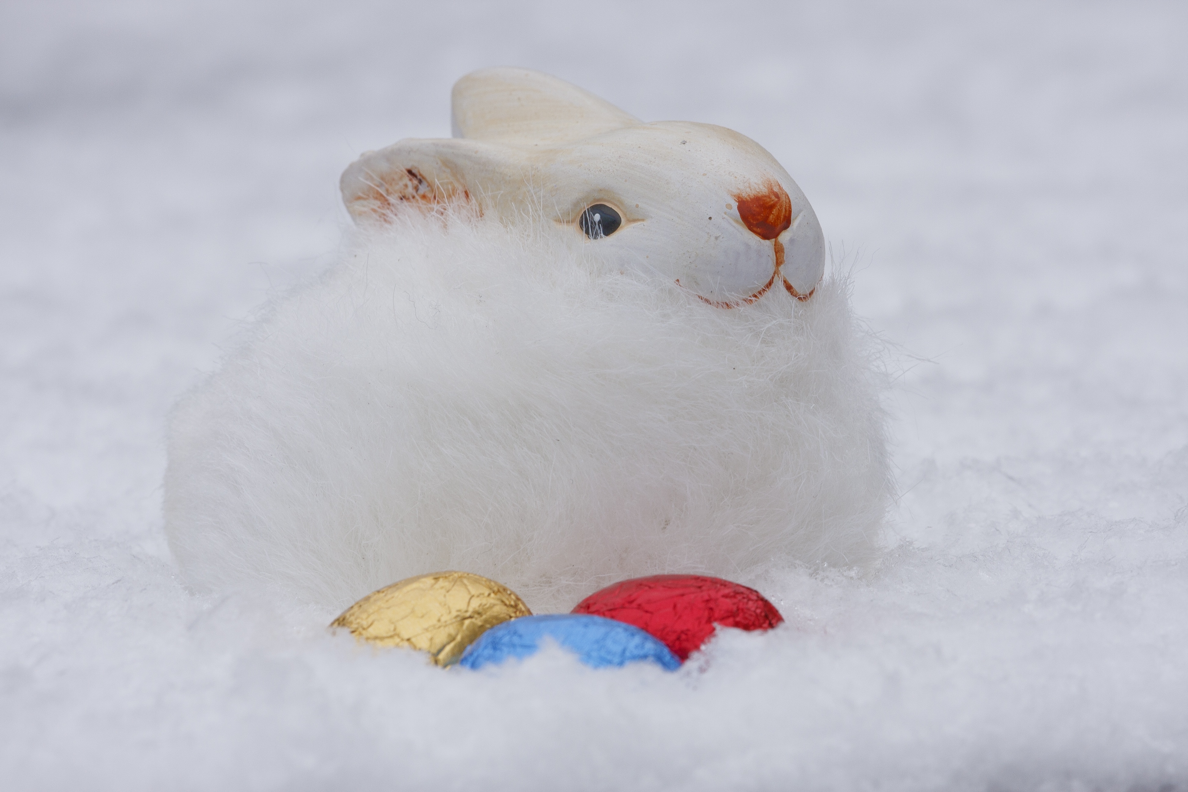 Зайка снегом. Кролик из снега. Заяц зимой. Снежный кролик. Заяц на снегу.