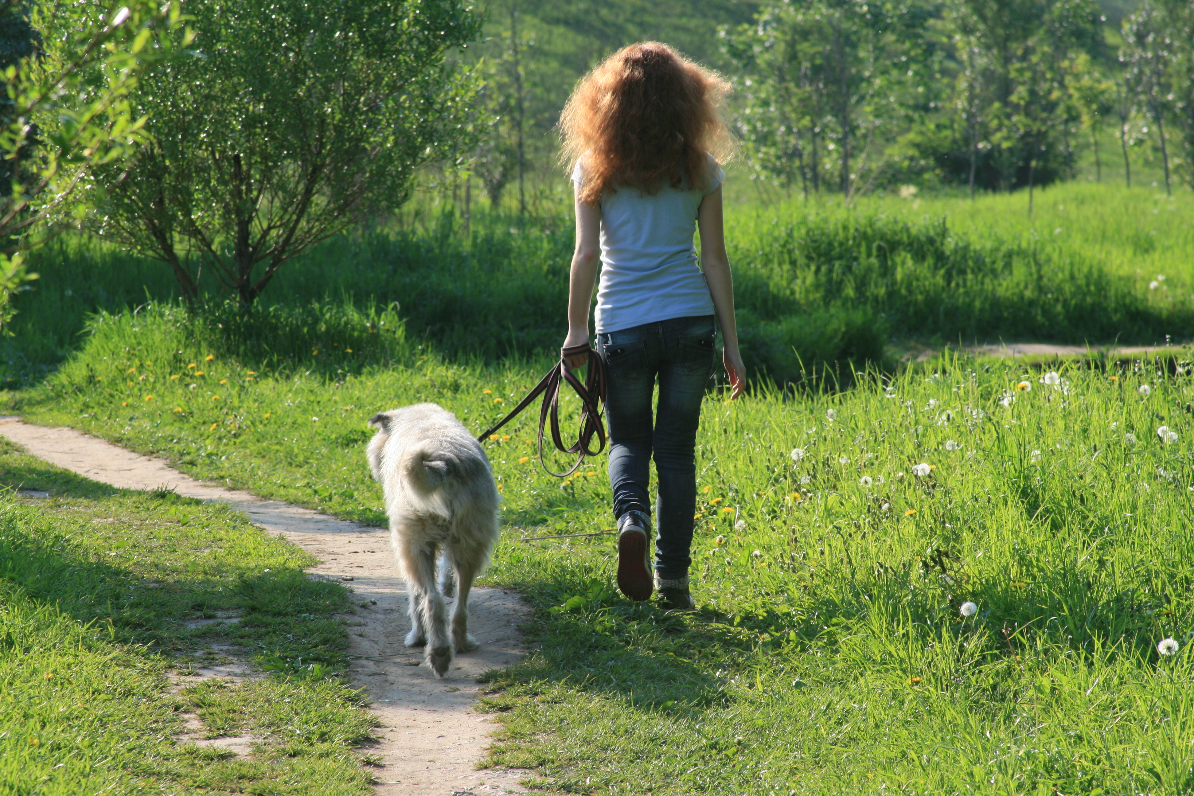 Вечером пойду прогуляюсь. Девочка с собакой. Девушка гуляет с собакой на поводке. Девушка гуляет с собакой. Девушка на прогулке с собакой.