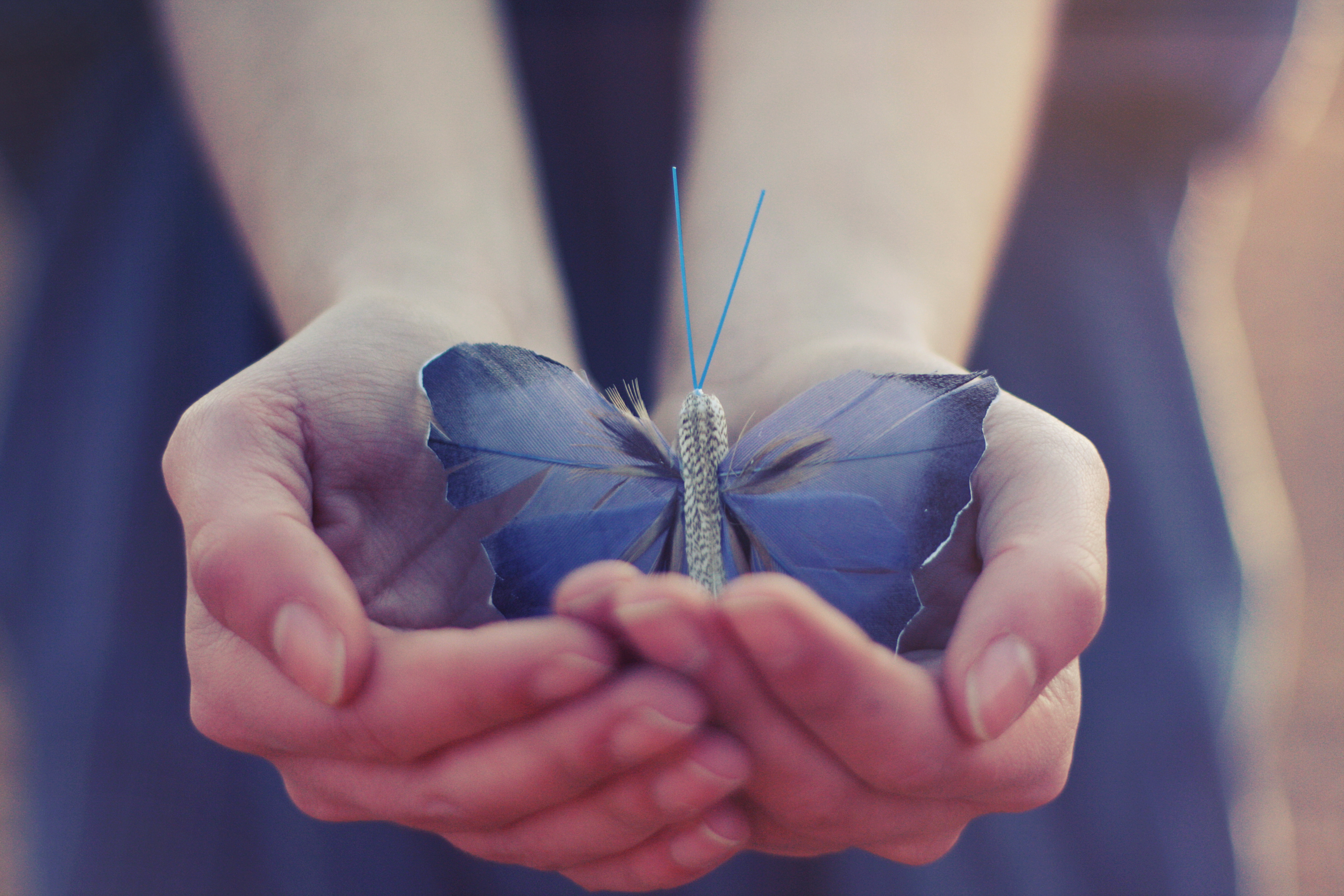 Песня в твоей руке ключи от счастья. На руку бабочка. Бабочка на ладони. Счастье бабочки. Бабочка в ладошках.