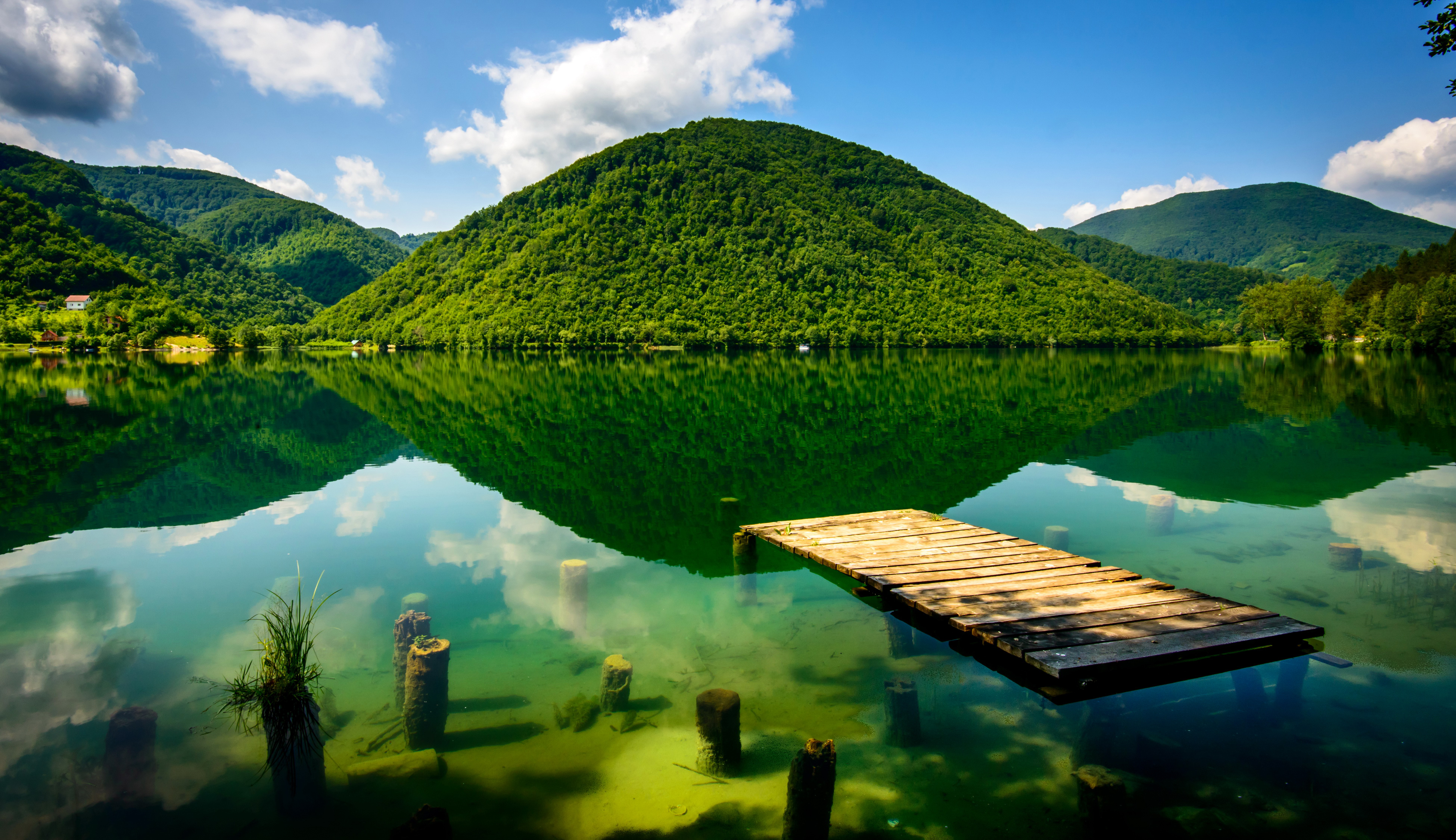 Красивые зеленые места. Босния и Герцеговина реки и озера. Озеро Лопота Грузия. Изумрудное озеро в Грузии. Успокаивающая природа.