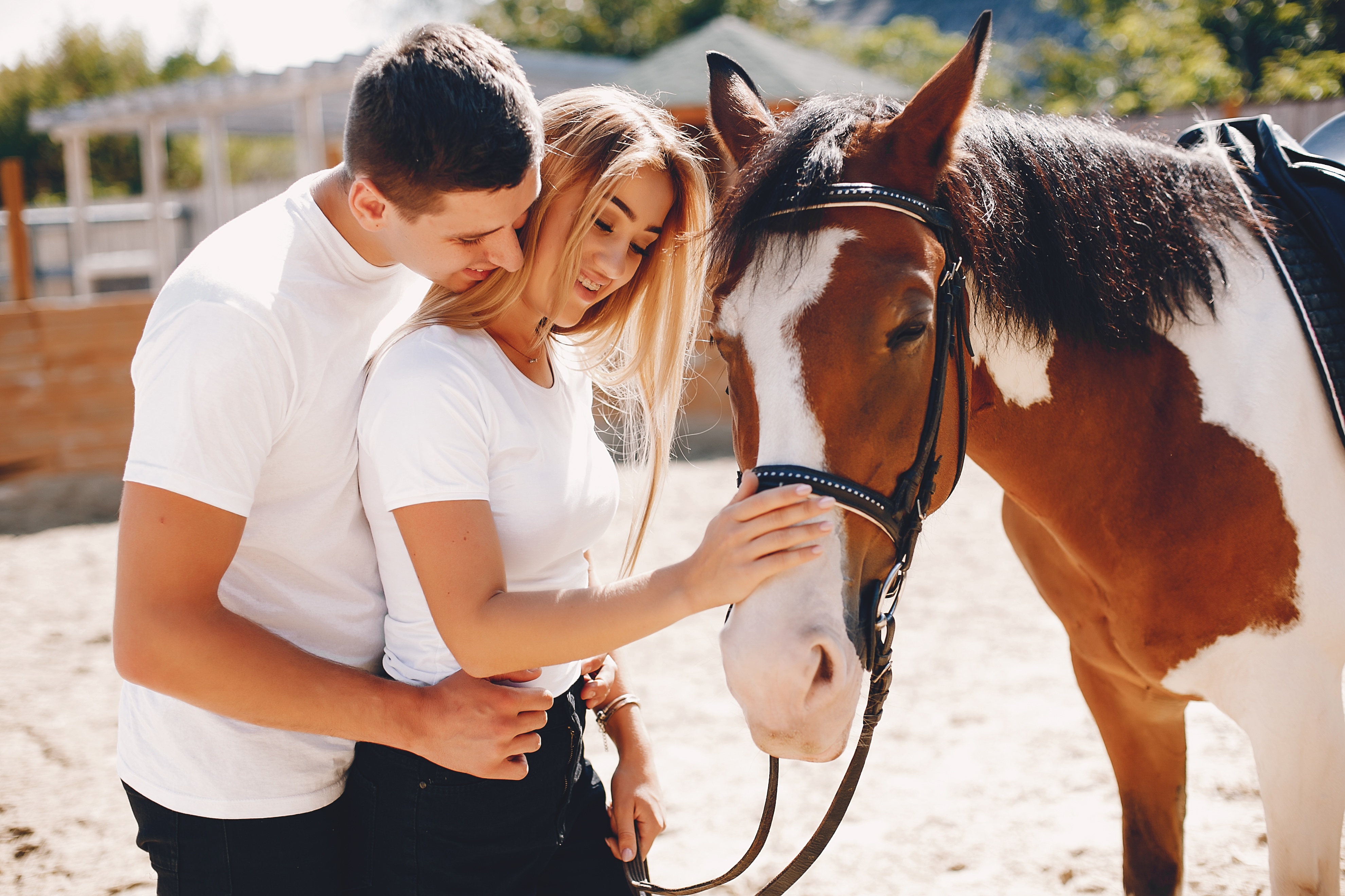 Мужчина лошадь в браке. Девушка с лошадью. Лошади и девушки скрещиваются. Парень на лошади. Девочка на лошади.