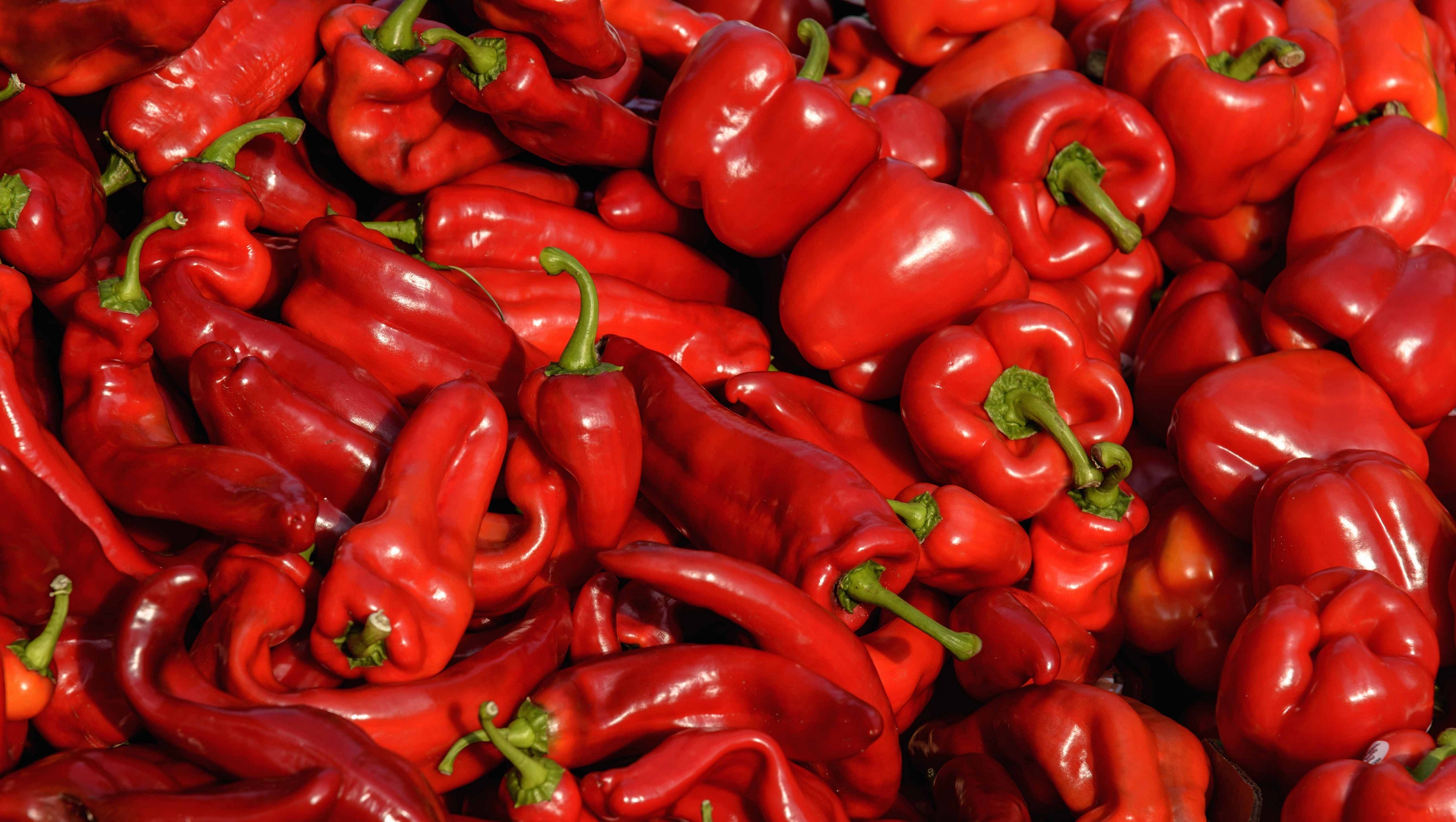 Фото peppers
