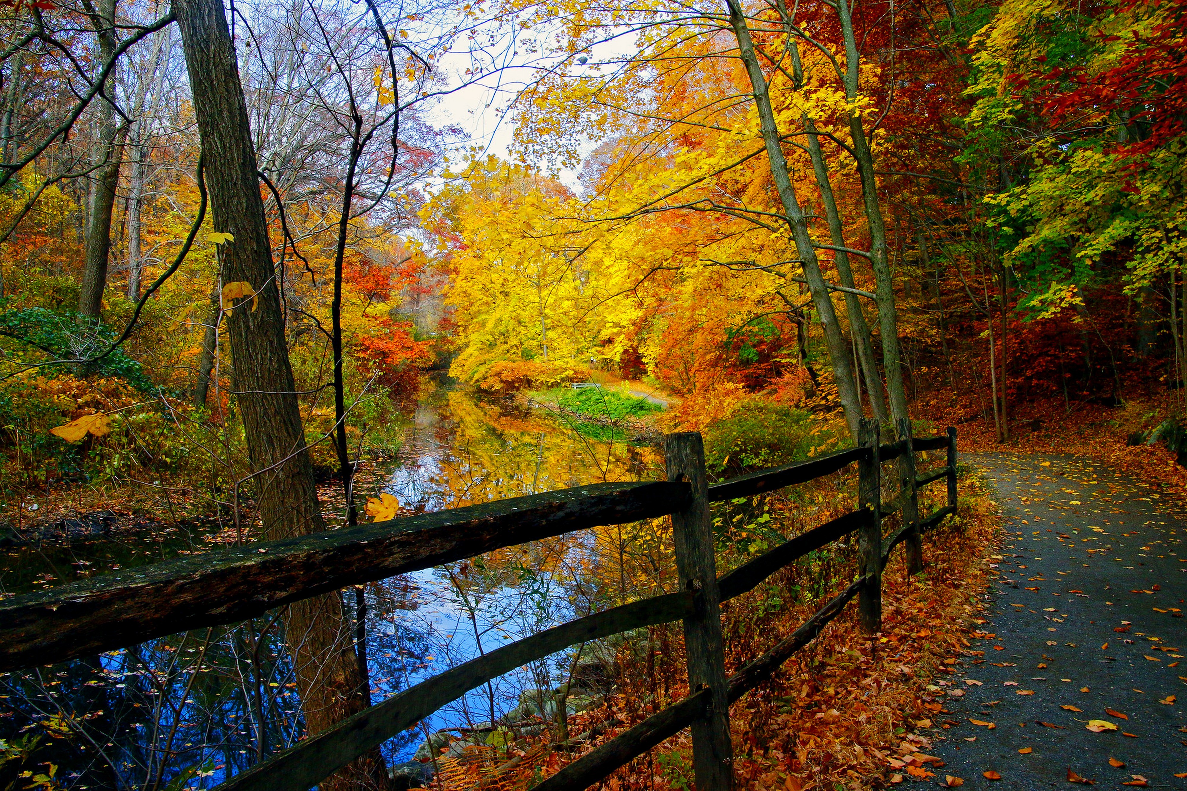 Осенний лес очень красивые. Осенний пейзаж. Лучшие осенние пейзажи. Осень парк. Осенний пейзаж с ручьём.