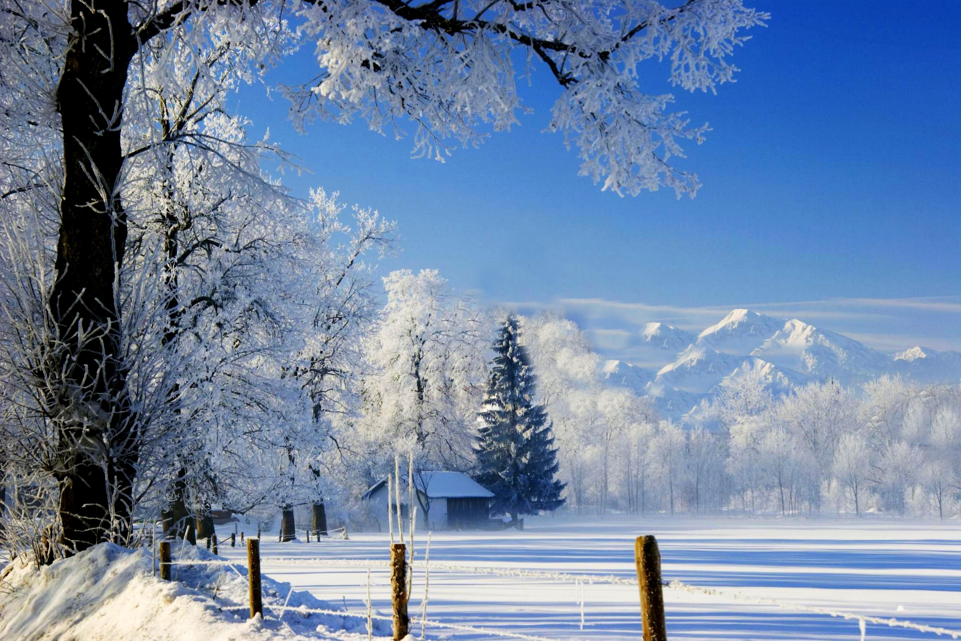 Картинка зимний период. Зимний пейзаж. Зимняя природа. Красивая зима. Снежный пейзаж.