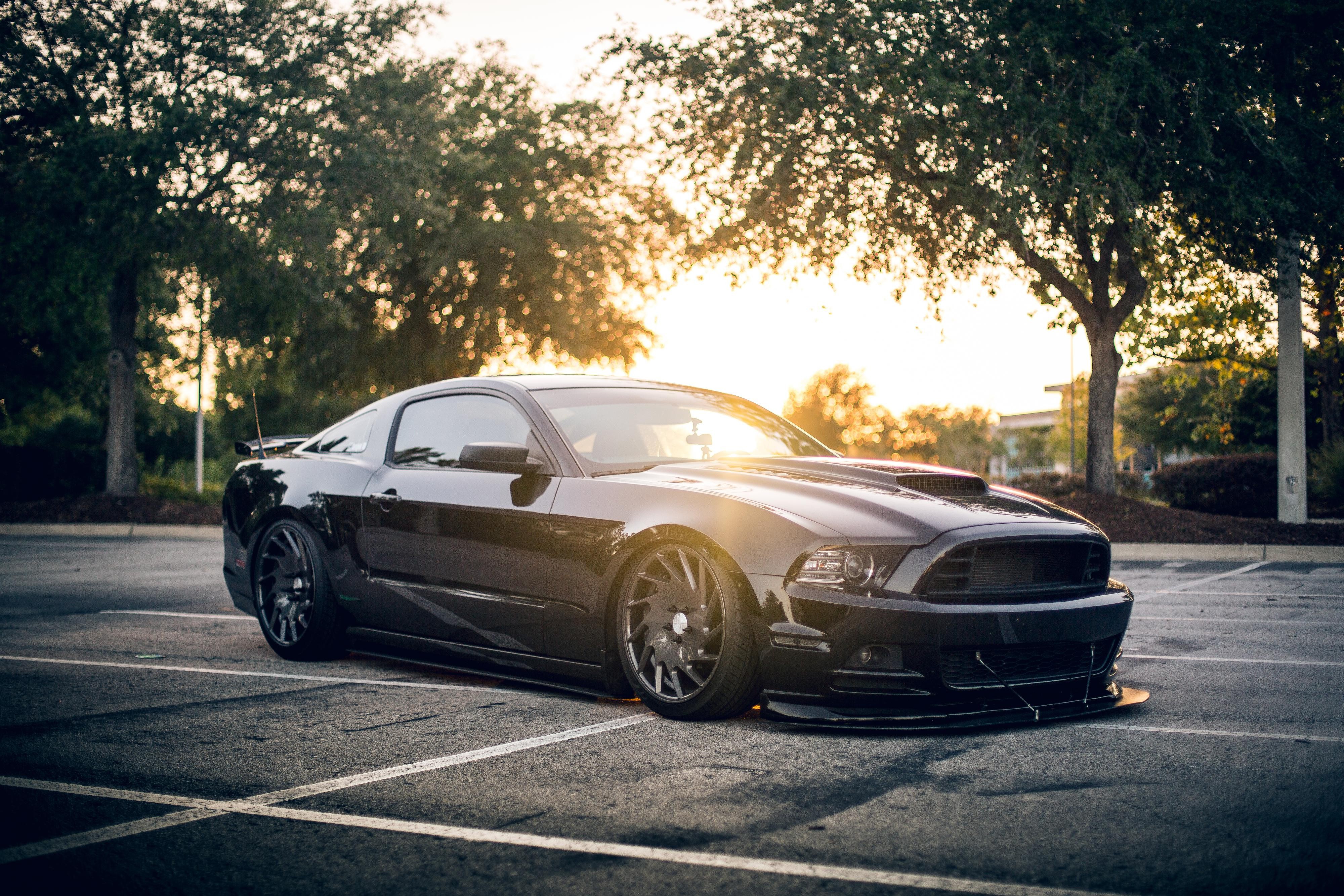 Black car. Ford Mustang Shelby 4k. Форд Мустанг 4k чёрный. Ford Mustang Shelby чёрный HD. Машина 4.