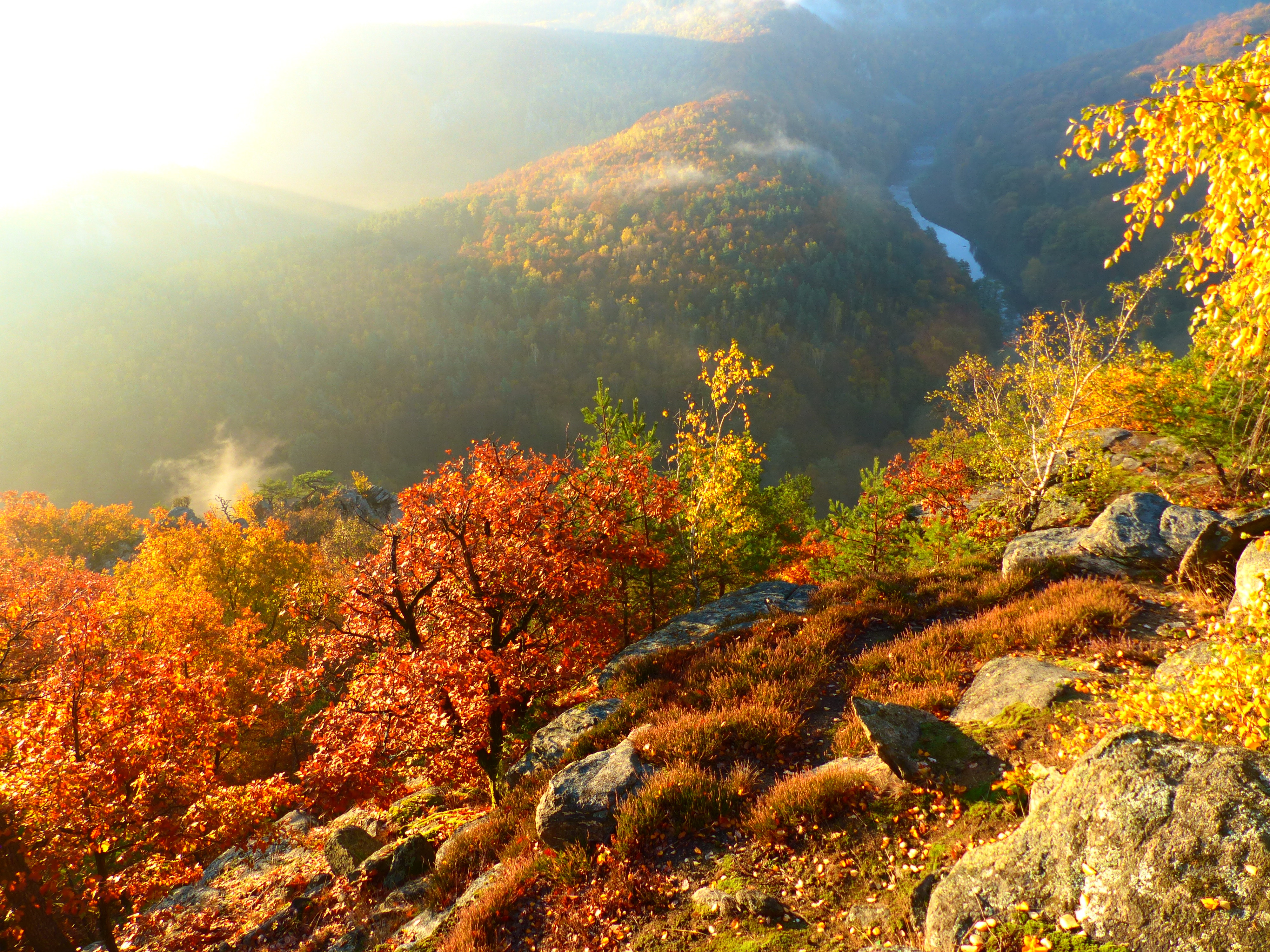 Горы осенью. Осень в горах. Осенний лес в горах. Горный пейзаж.