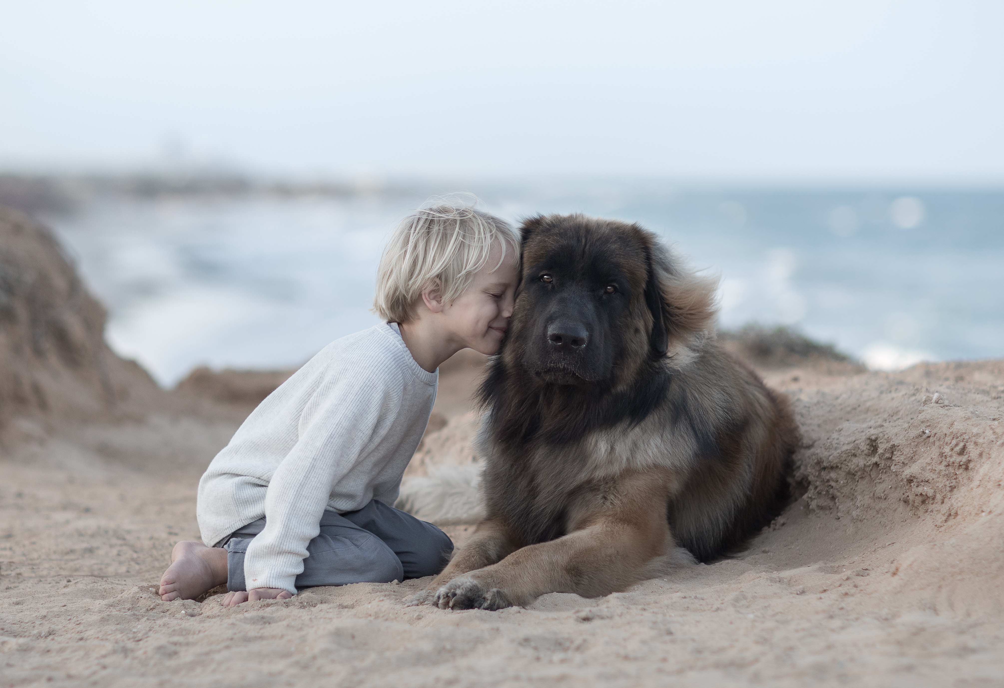 Фото собак мальчиков. Леонбергер с человеком. Девочка и большая собака. Собака для детей. Собака друг.