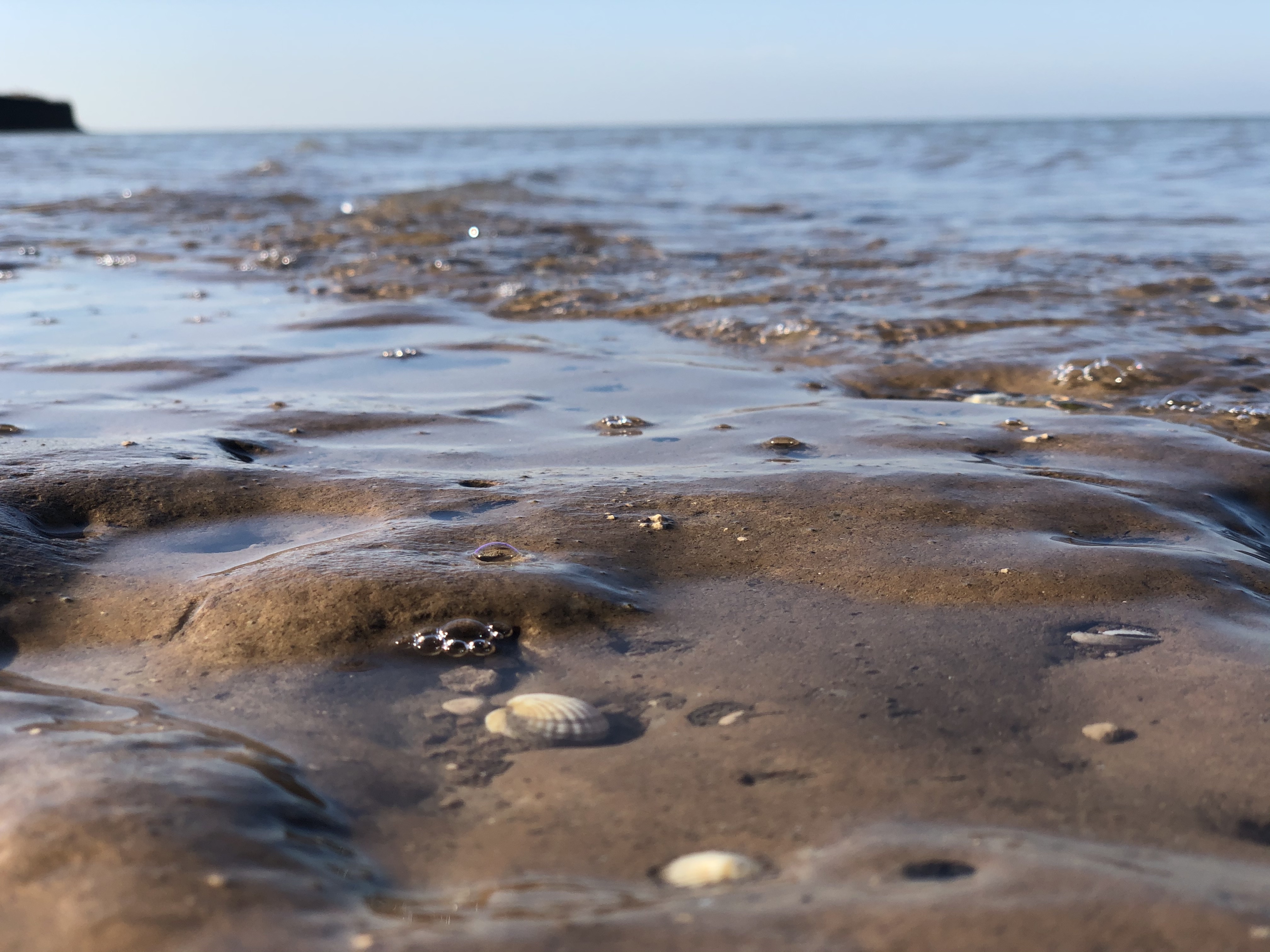 Обои море, берег, азов на телефон и рабочий стол, раздел природа,  разрешение 4032x3024 - скачать