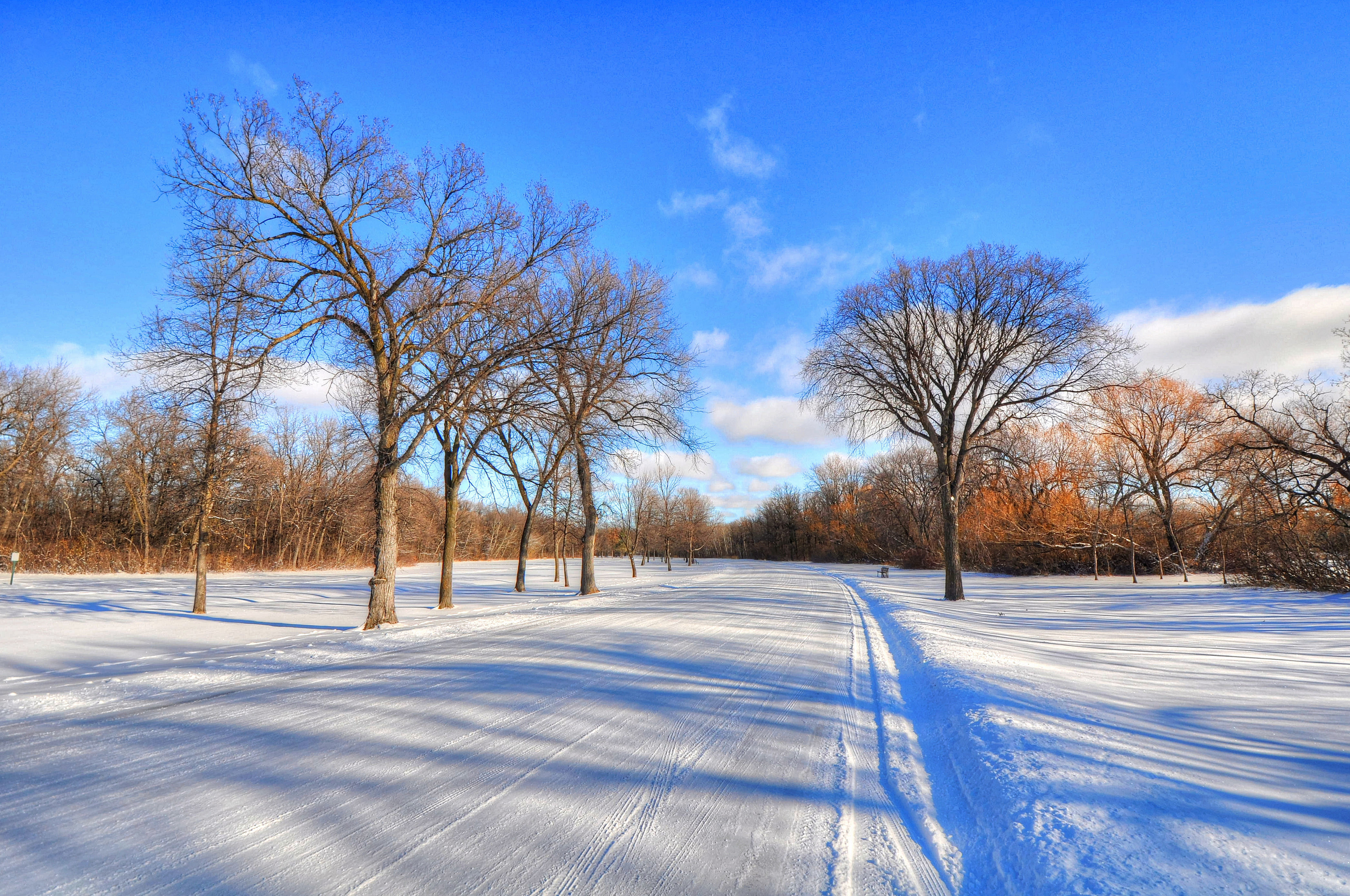 Красивая природа февраль. Зимнее дерево. Зима пейзаж. Февраль природа. Февральский пейзаж.