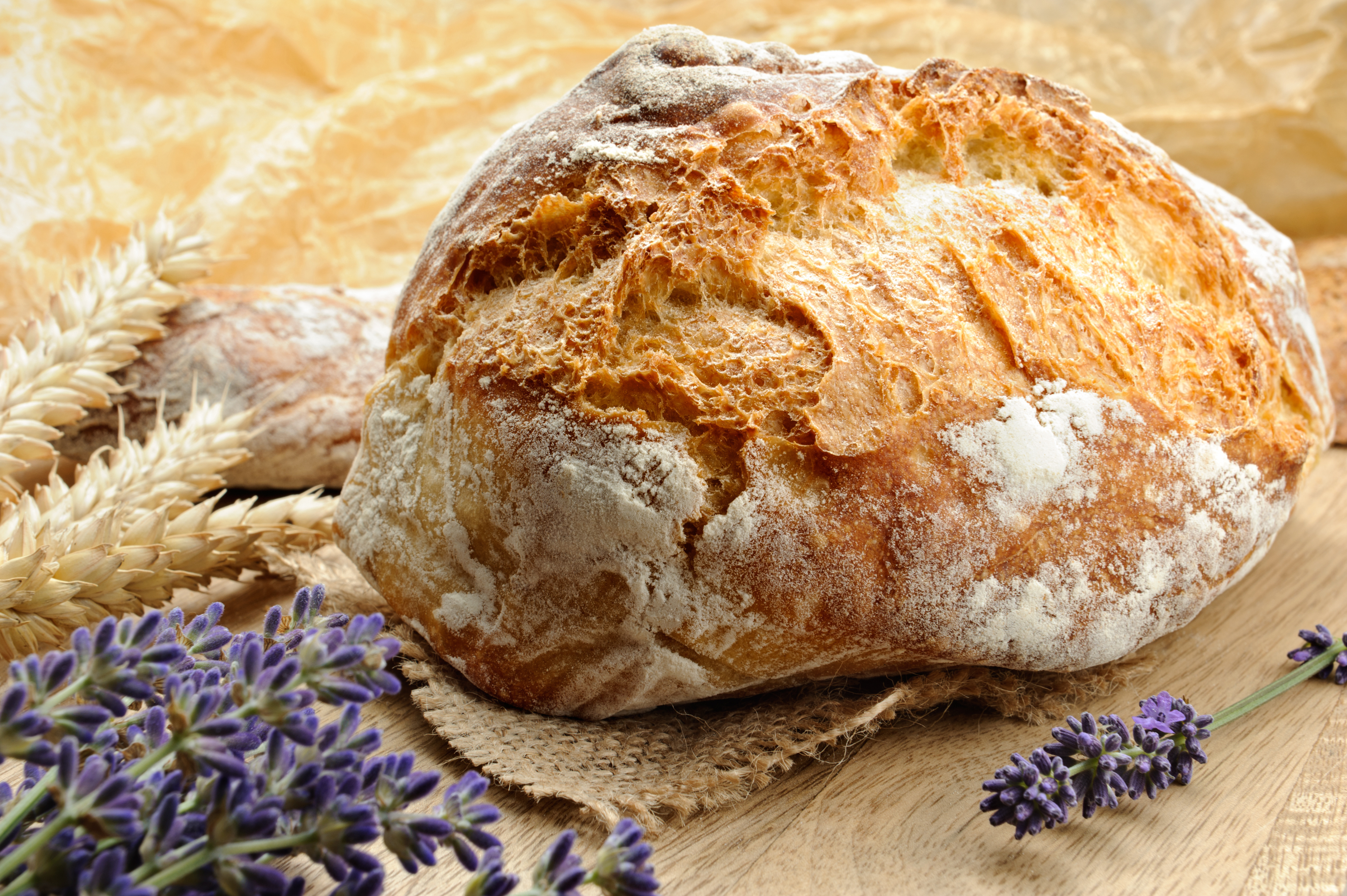 Рецепт хлеба от бельковича. Рустикальный хлеб. Красивый хлеб. Круглый хлеб. Выпечка хлеба.