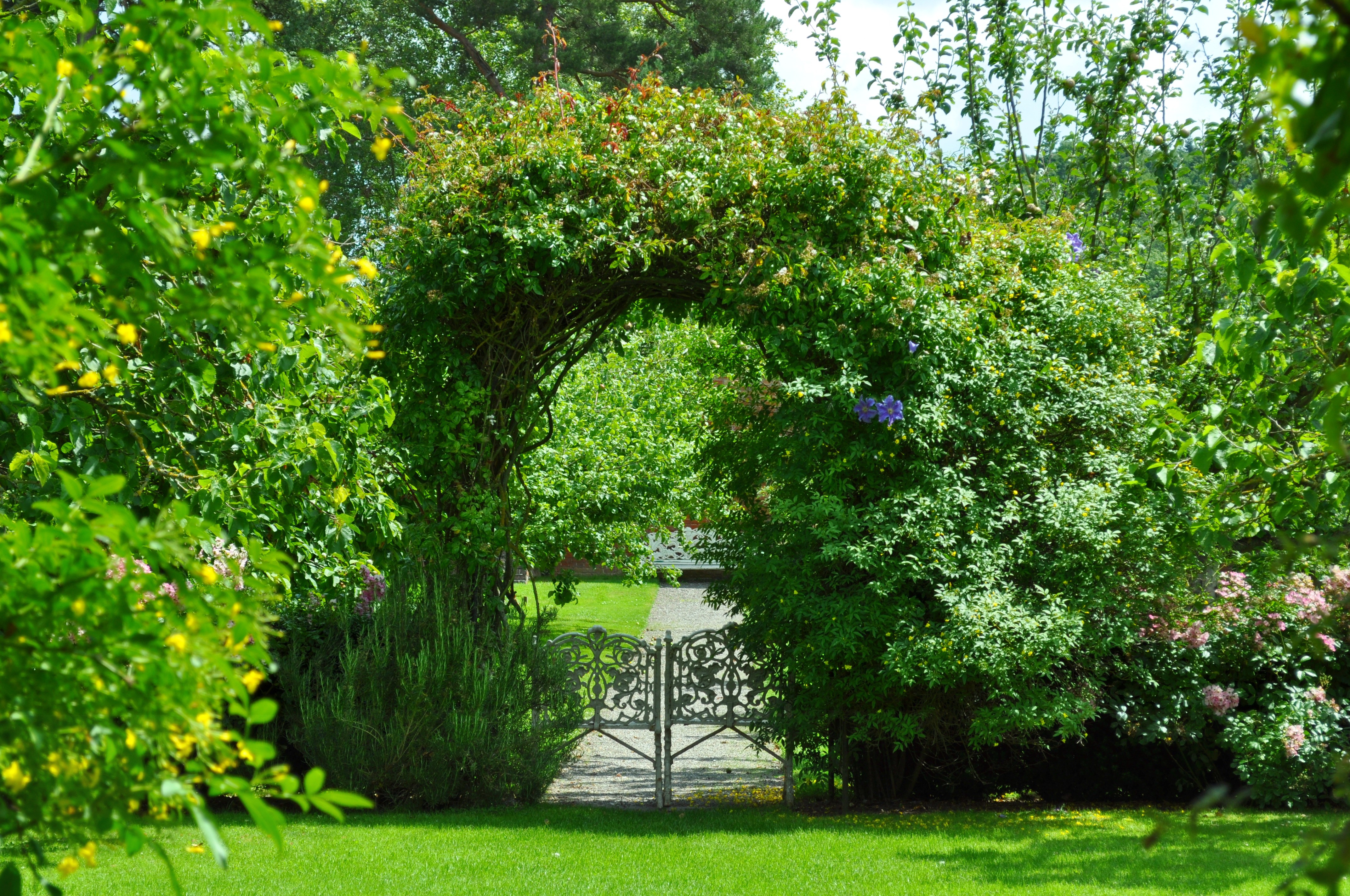 Green garden. Сады Мирабель арки. Живая изгородь летний сад. Живая изгородь с аркой. Арка из дерева.