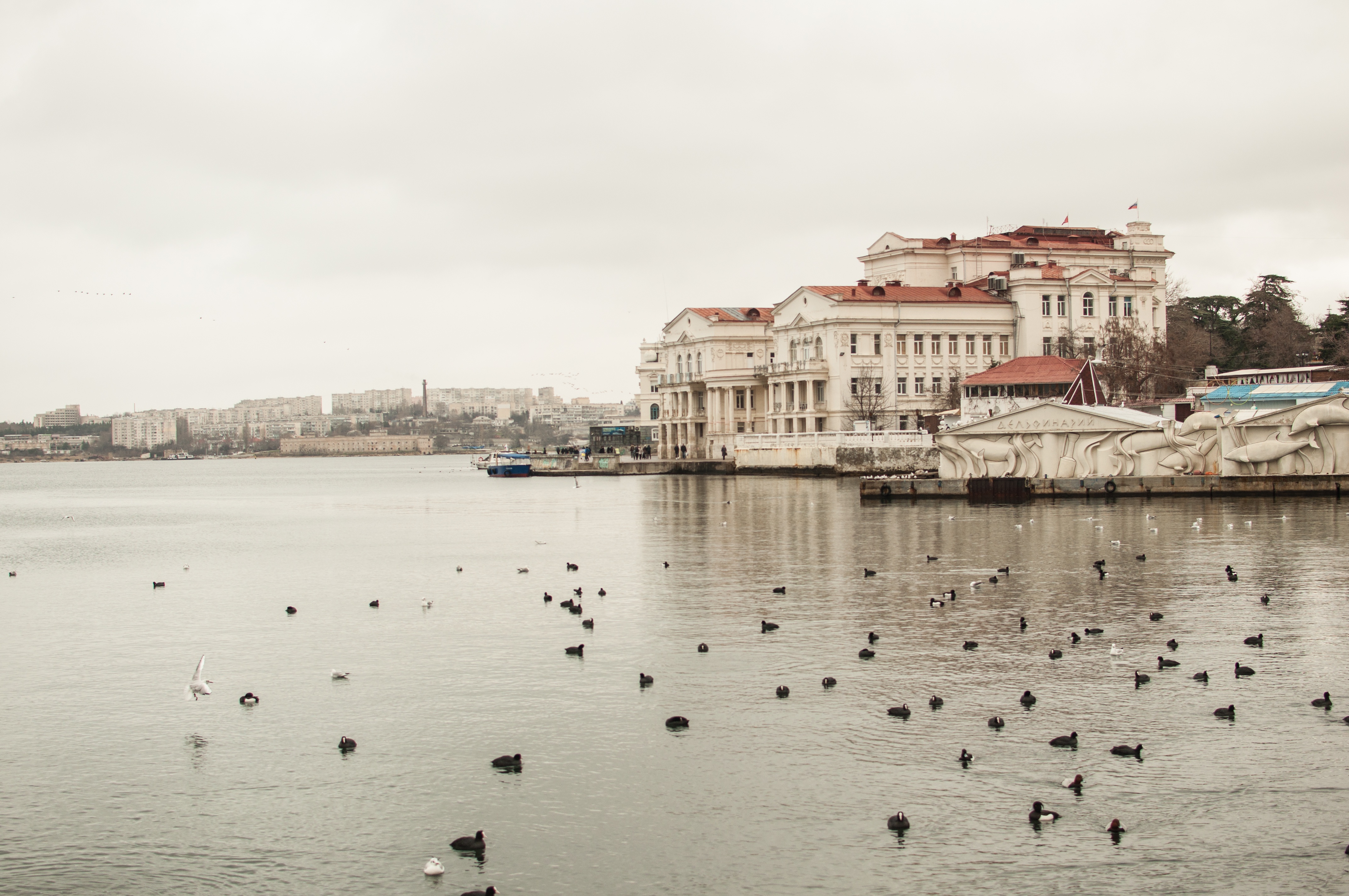 Город 4 морей. Севастополь 4k. Крым Севастополь. 3840x2160 Крым фотографии улиц.