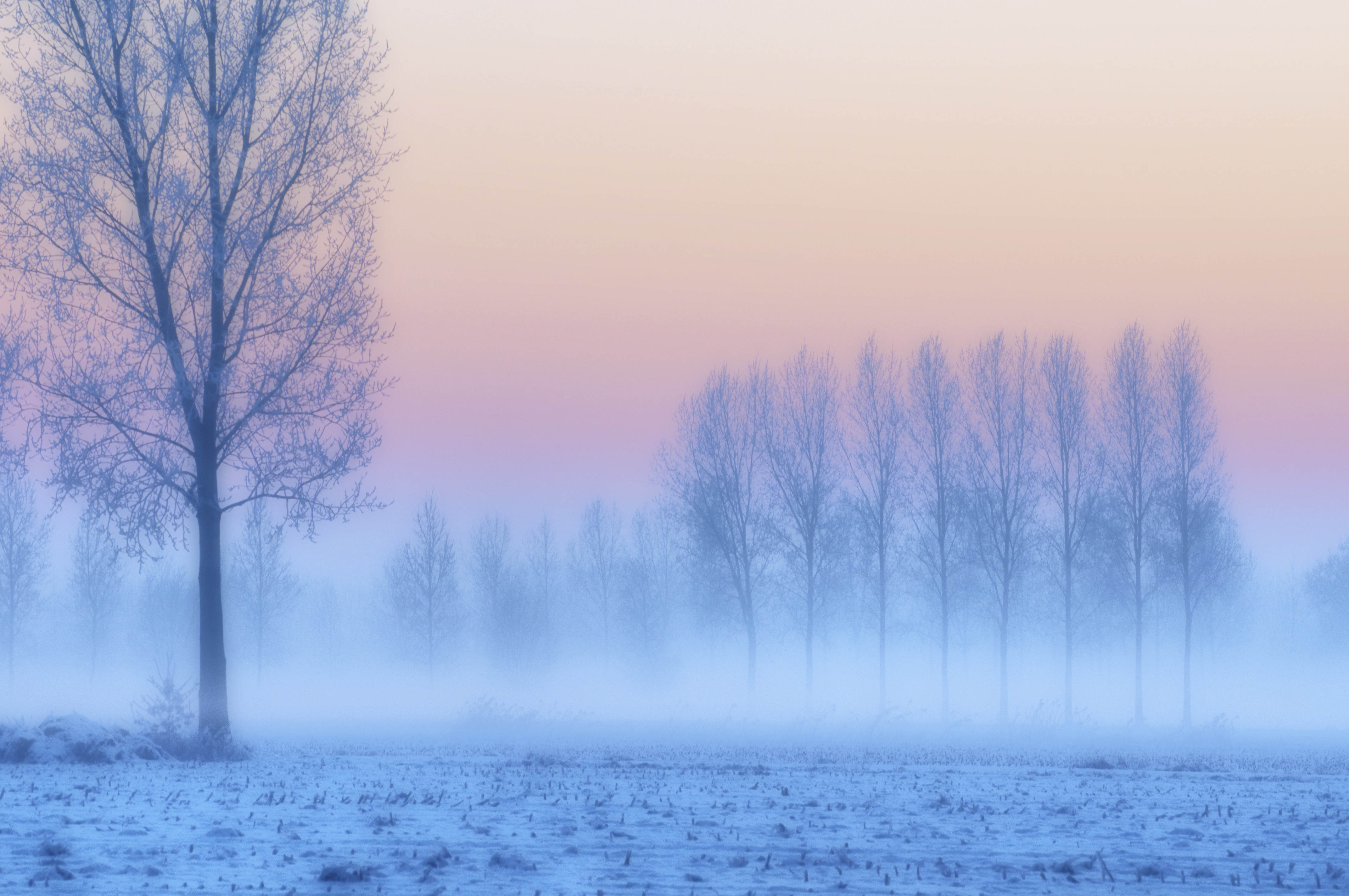 Туман стелется над полями и над синей. Зимний туман. Туманный пейзаж. Зимнее поле в тумане. Зимний пейзаж с туманом.