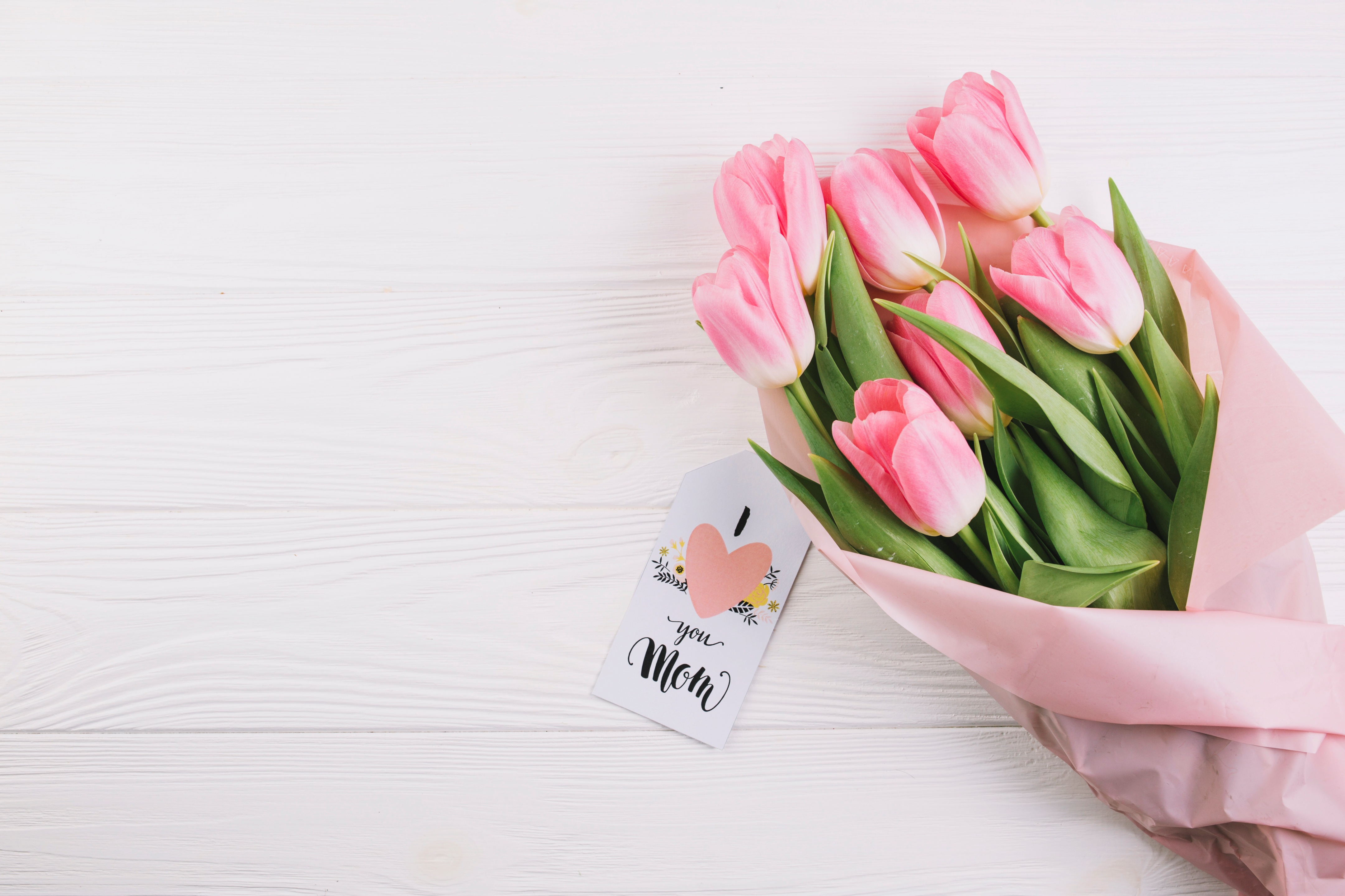 Тюльпаны минимализм. Цветы тюльпаны стильно. Нежные цветы тюльпаны. Тюльпаны фон.