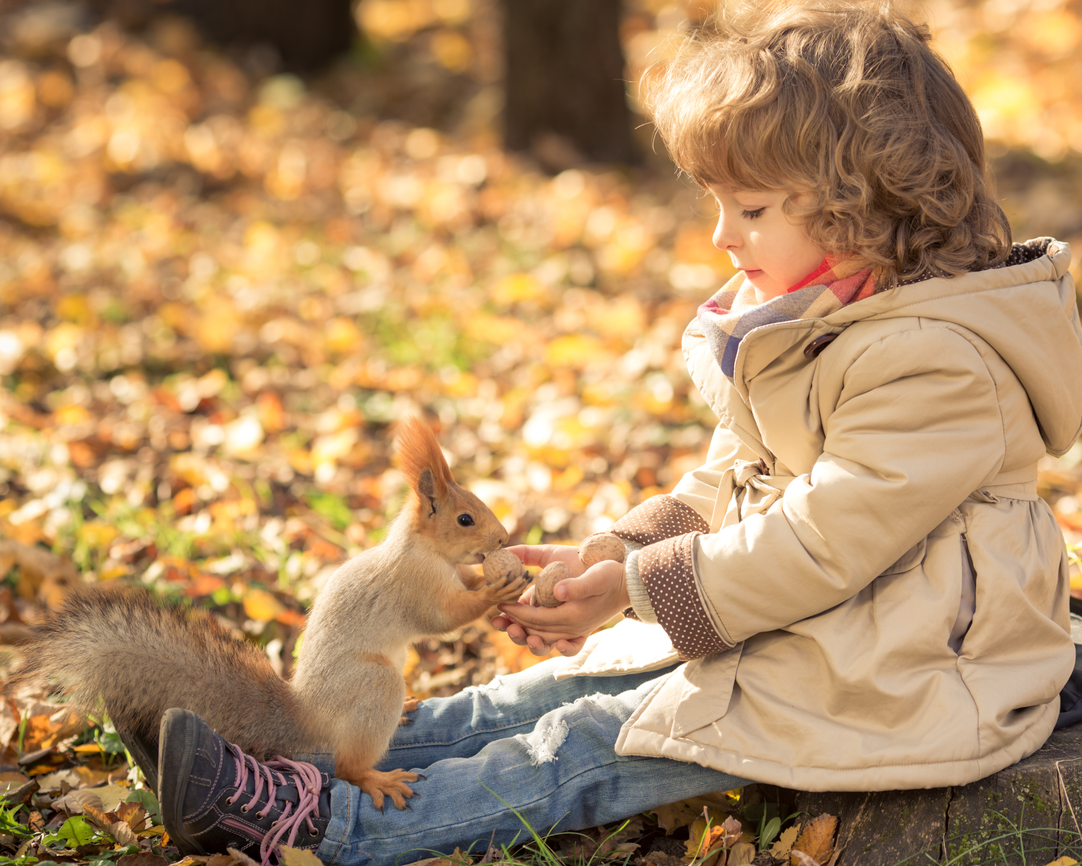 Добро картинки красивые. Осень дети и животные. Дети с животными осень. Дети природа животные. Дети и животные доброта.