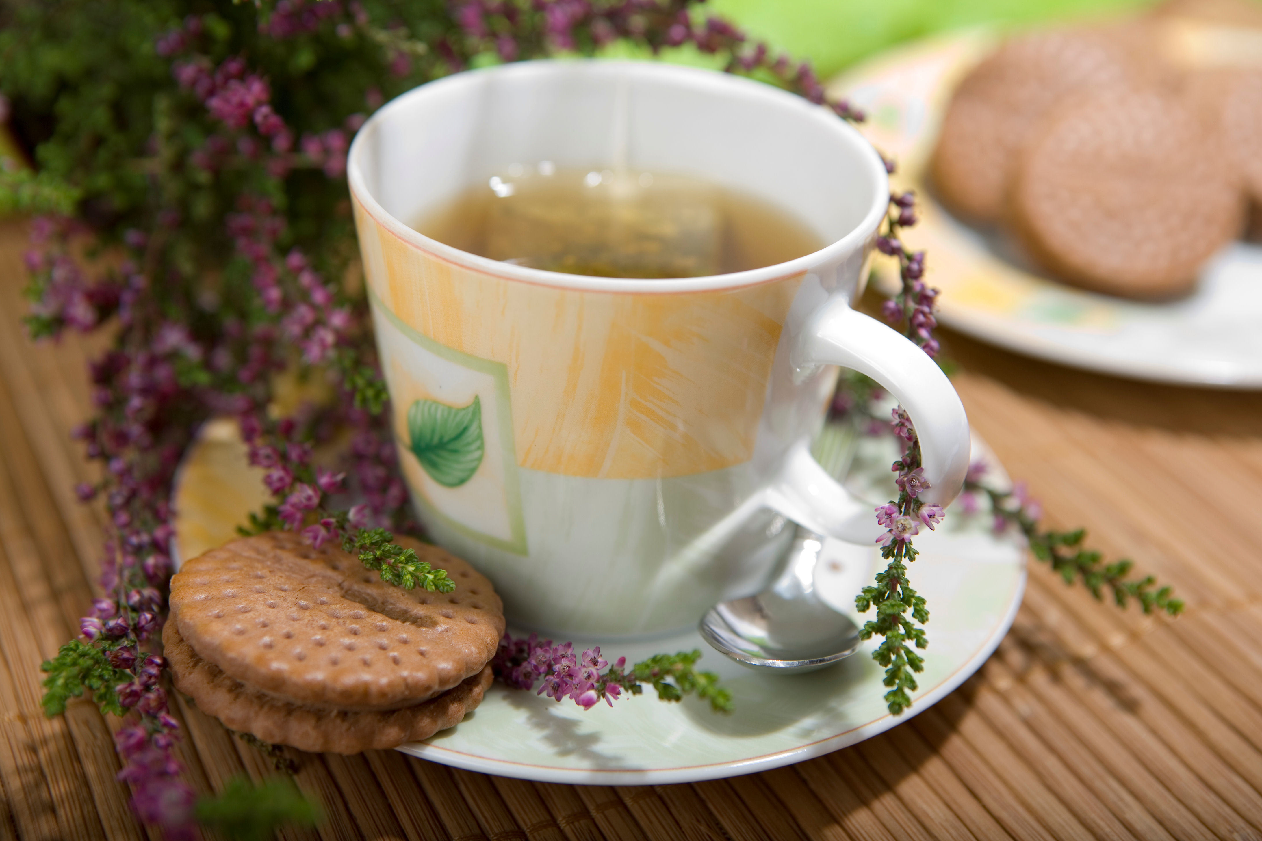 Зеленый чай вечером. Кружка чай. Утренний чай. Чашечка с чаем. Красивая чашка с чаем.