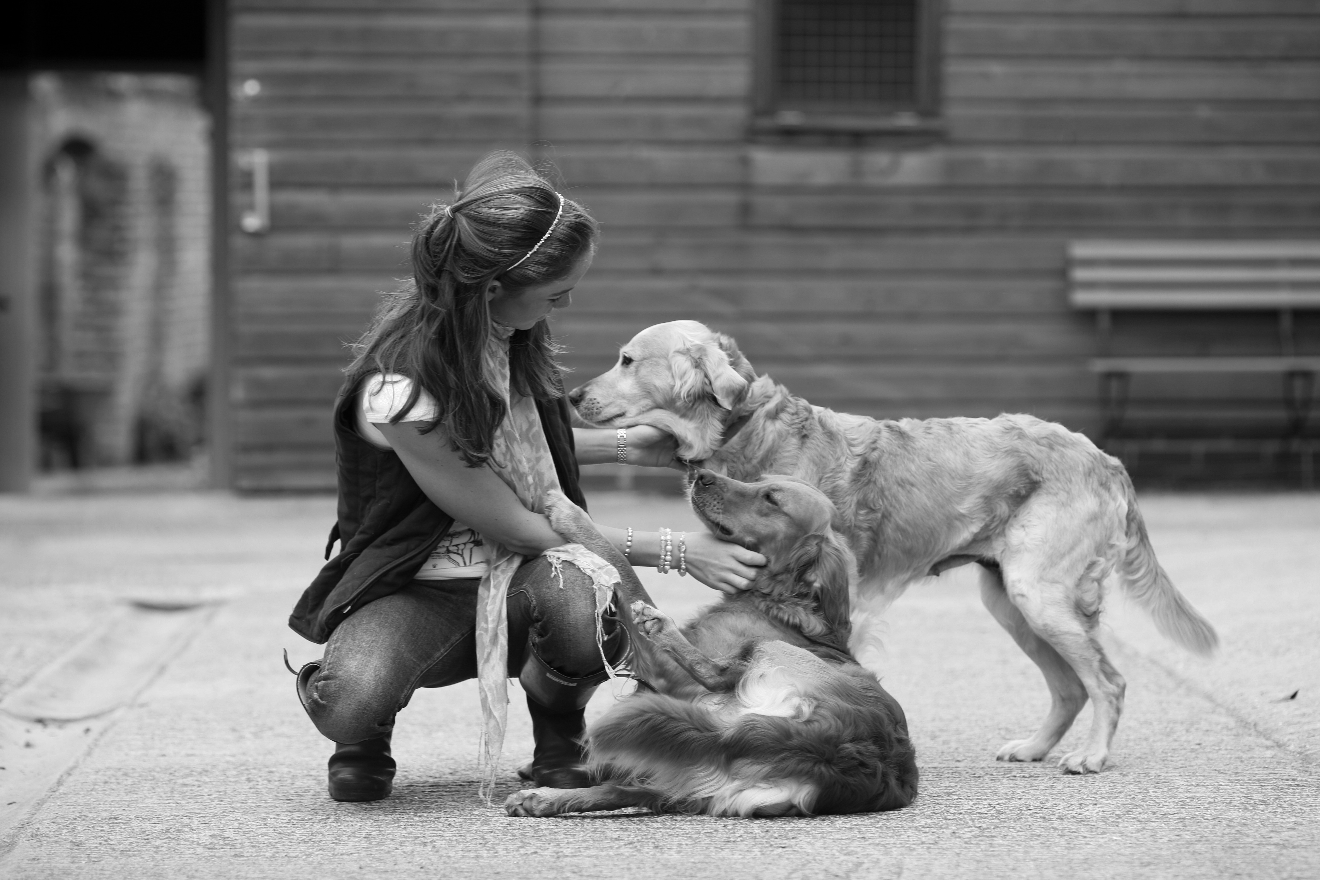 Делай бескорыстно. Девочка с собакой. Любовь к животным. Сострадание к животным. Девушка с собакой фотосессия.