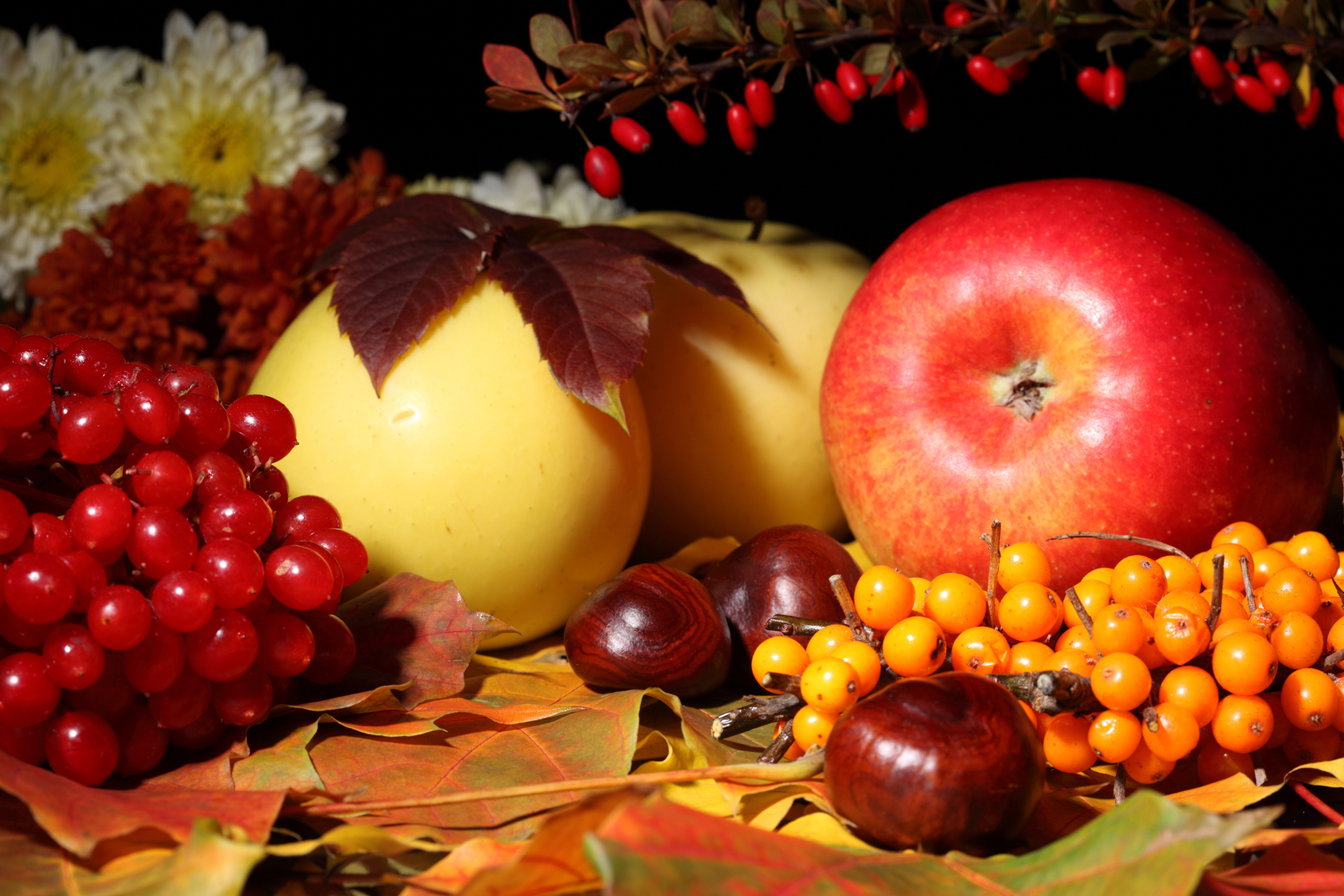 Фрукты ноябрь. Осень. Осенние обои. Осень яблоки. Дары осени яблоки.