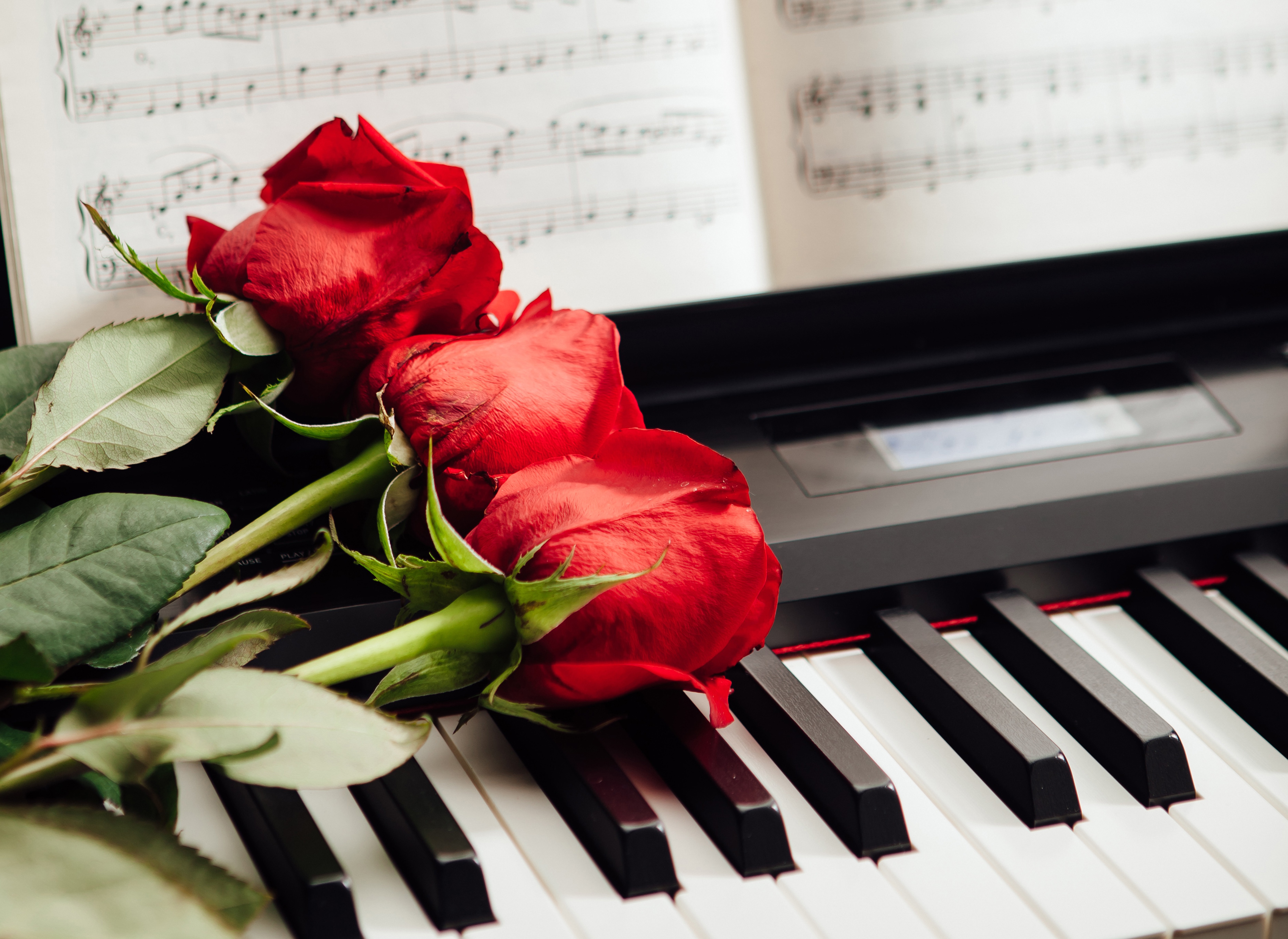 Красивая музыка россии. Рояль с цветами. Цветы на пианино. Пианино. Фортепиано красивое.