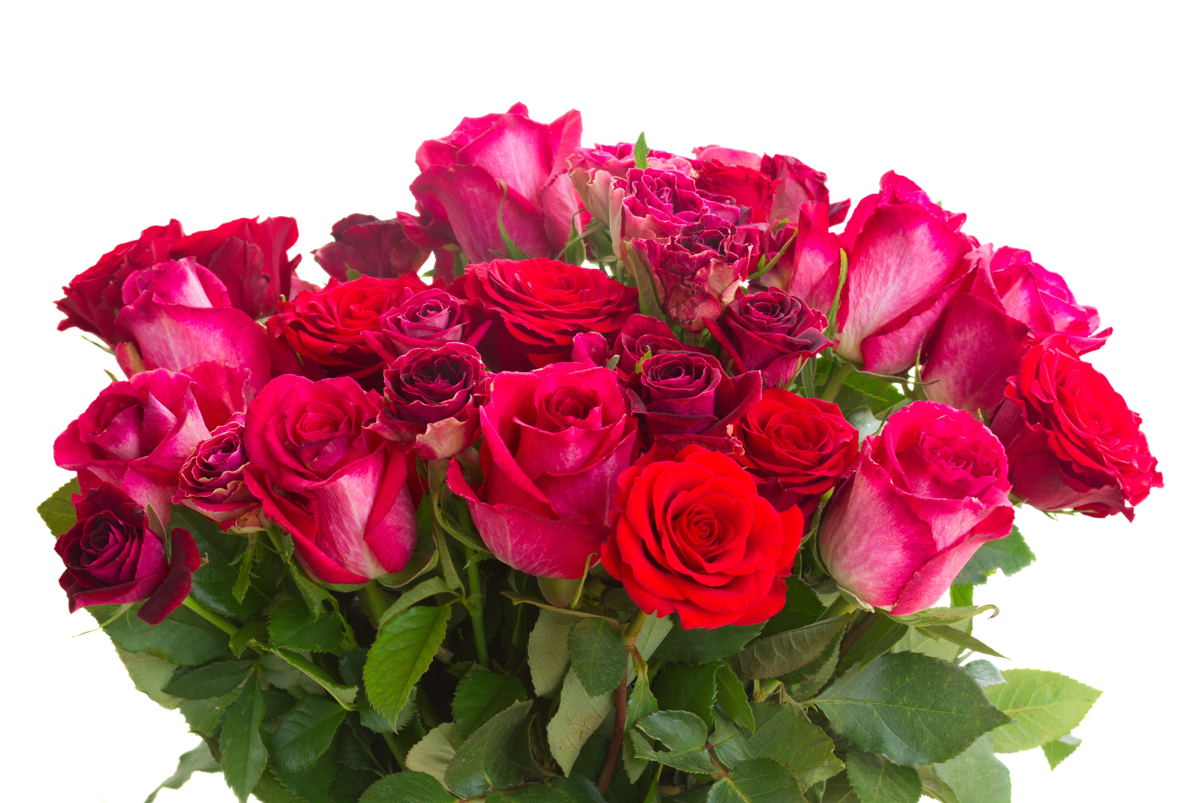 Картинки с днем рождения женщине. Спасибо Марина. Букеты. Цветы букет. Букет роз.