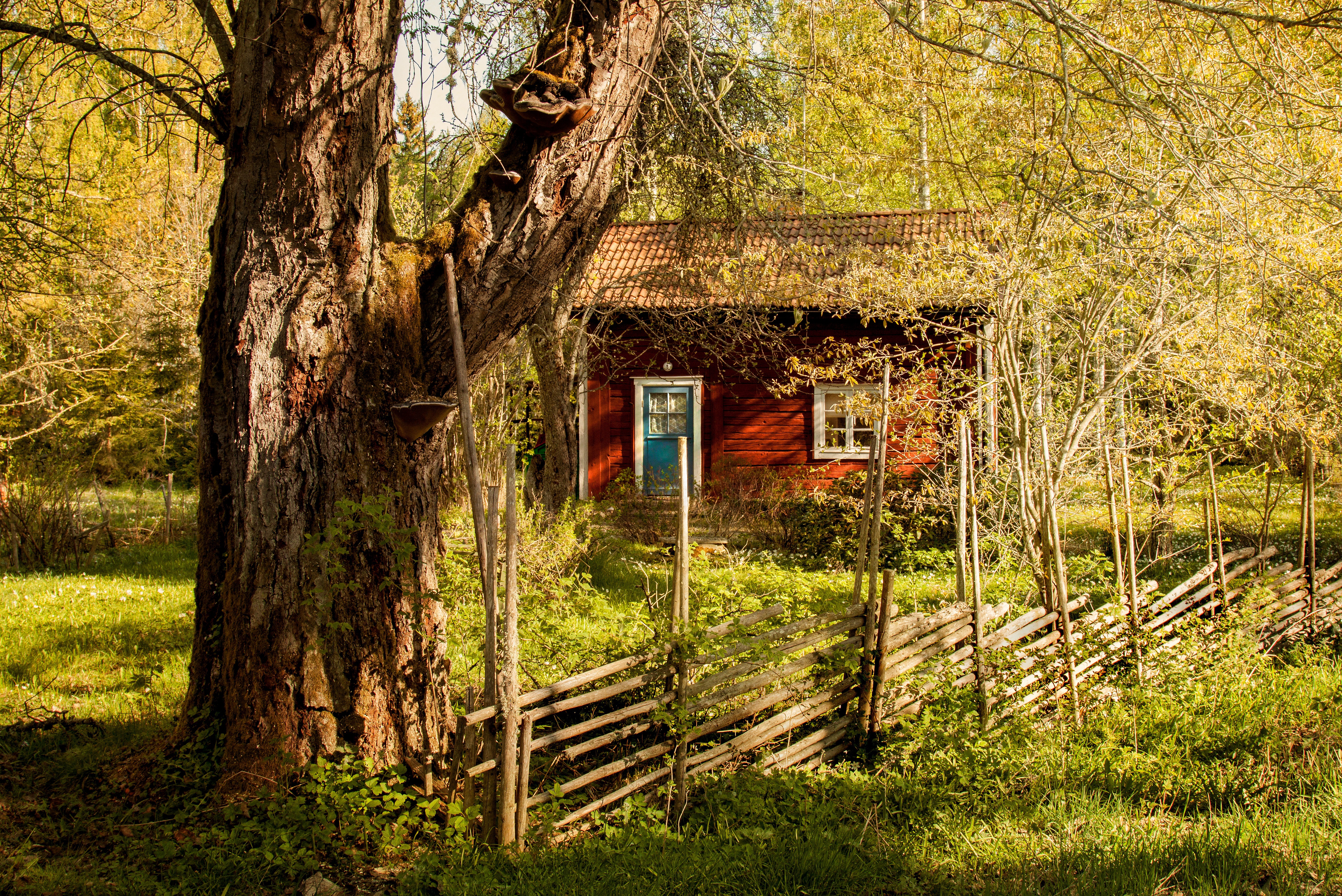 Фото Села Лесного