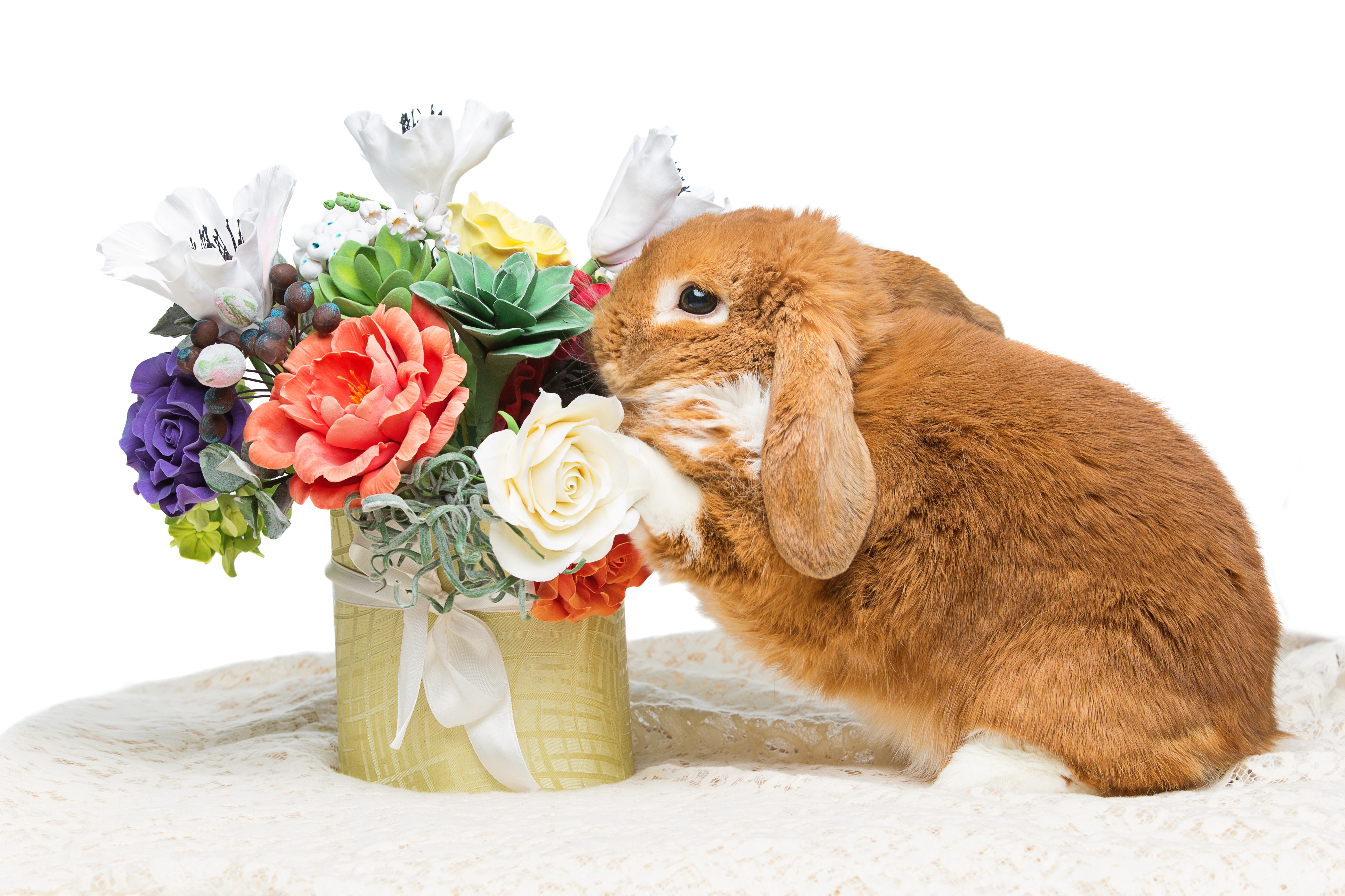 Поздравление зайца с днем рождения. Зайчик с цветами. Красивый кролик. Кролик с цветами. Зайчонок с цветами.