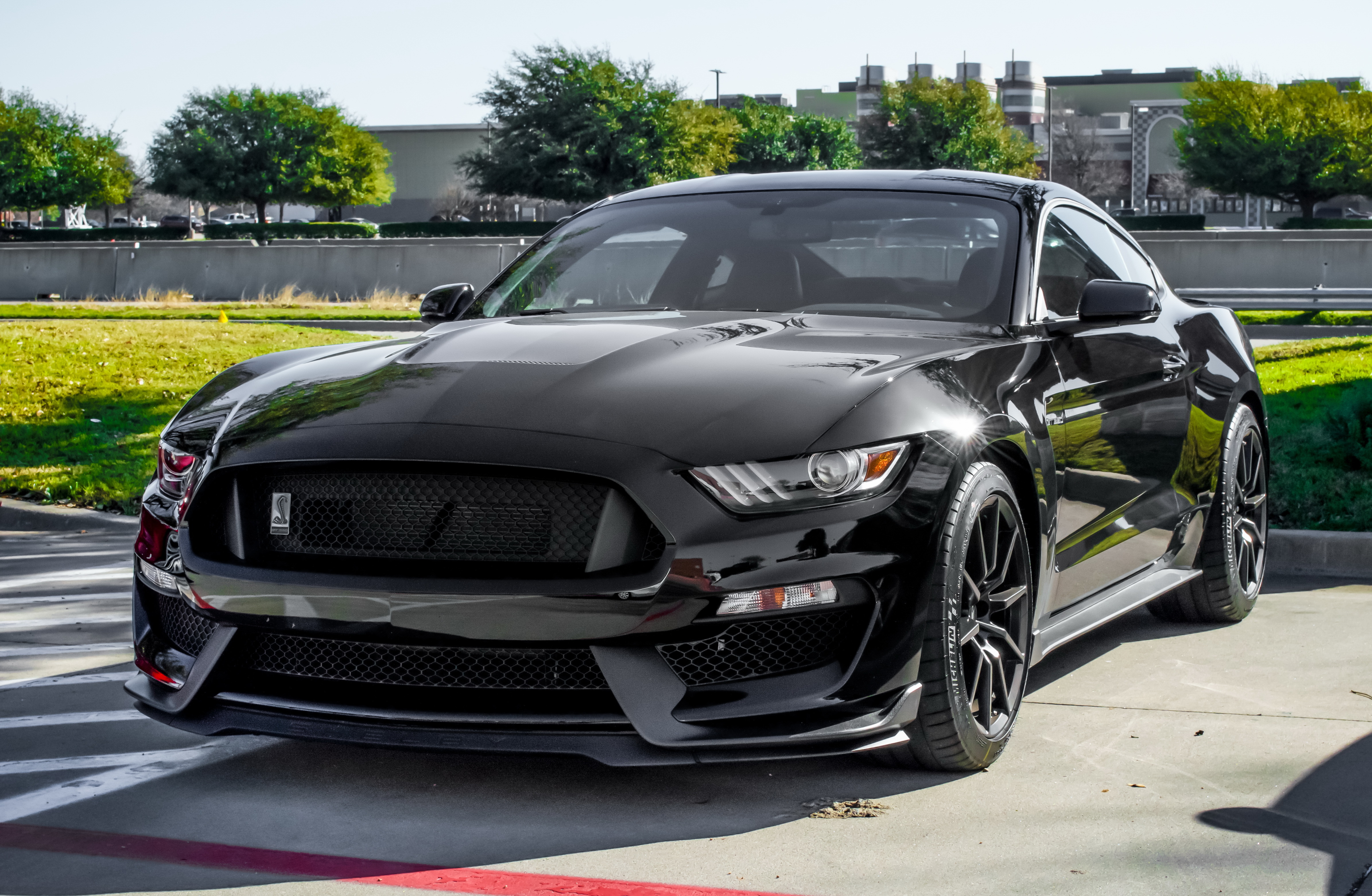 Black ford. Ford Mustang Shelby gt350 Black. Форд Мустанг Шелби gt 350 черный. Форд Мустанг gt черный. Форд Мустанг gt черный Шелби.