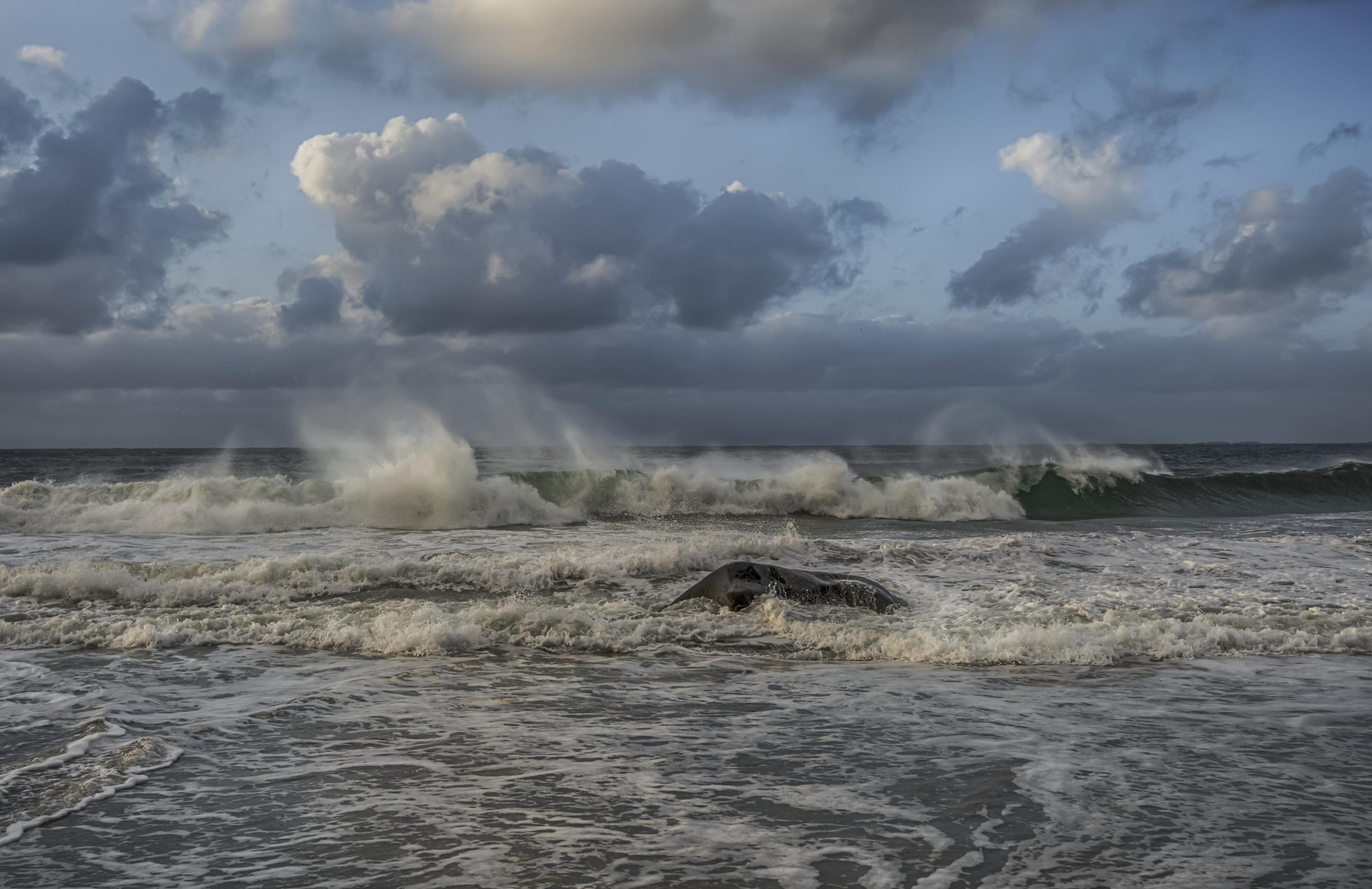 Шторм августа. Балтийское море шторм. Шторм на Ладожском озере. Карское море шторм. Каспийское море шторм.