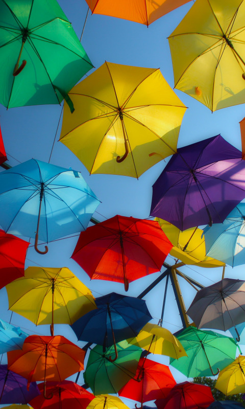 зонтик, настроение, Венгрия, Дьор