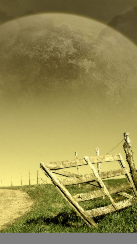 деревья, забор, Dreamy World