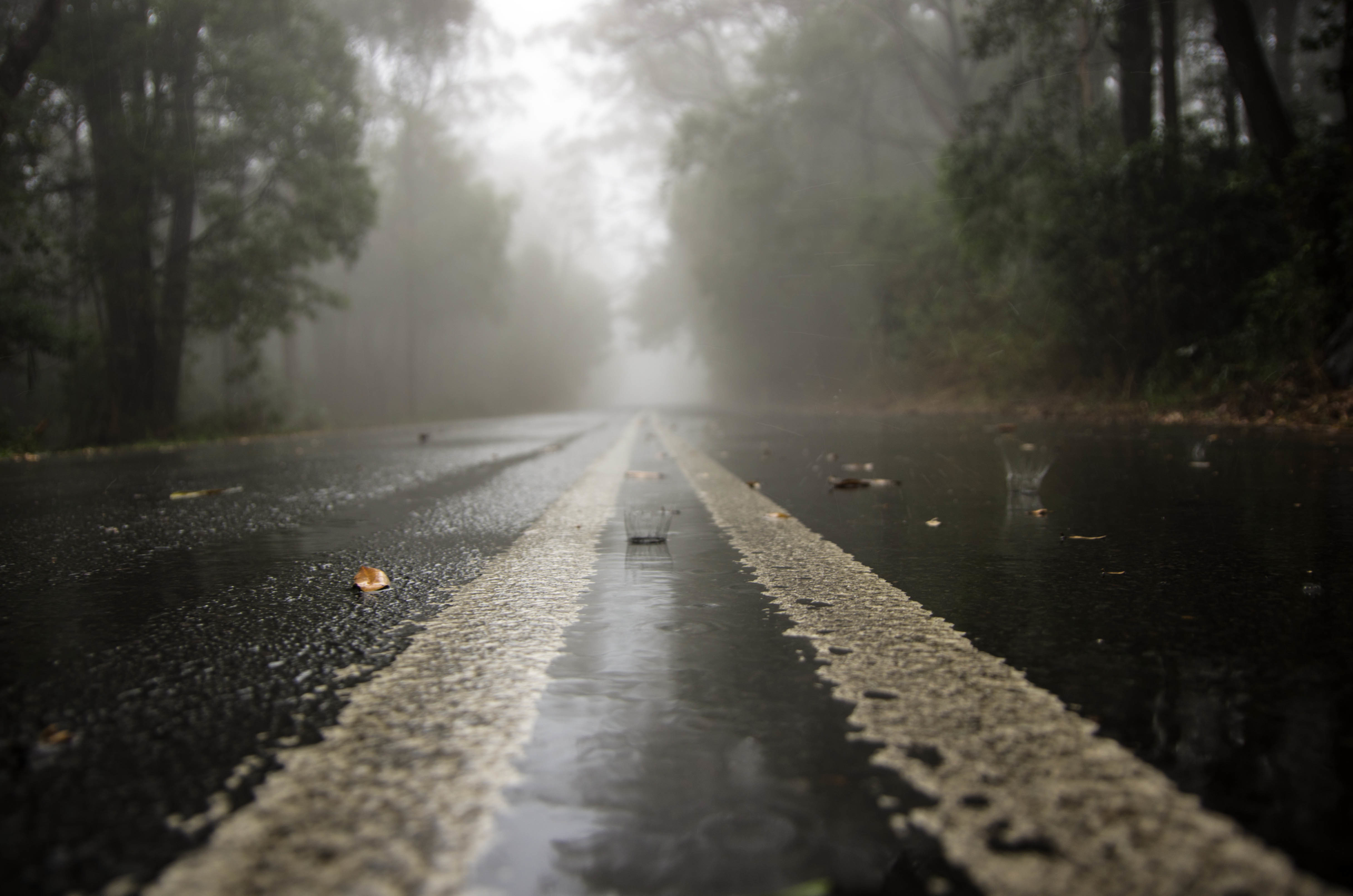 Rain day. Дорога дождь. Мокрая дорога. Дождь туман. Дорога под дождем.